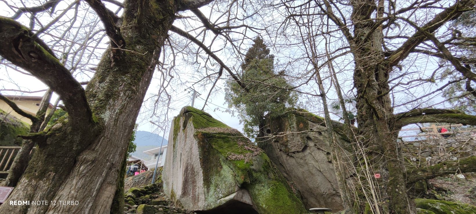 南惹古村旅行图片