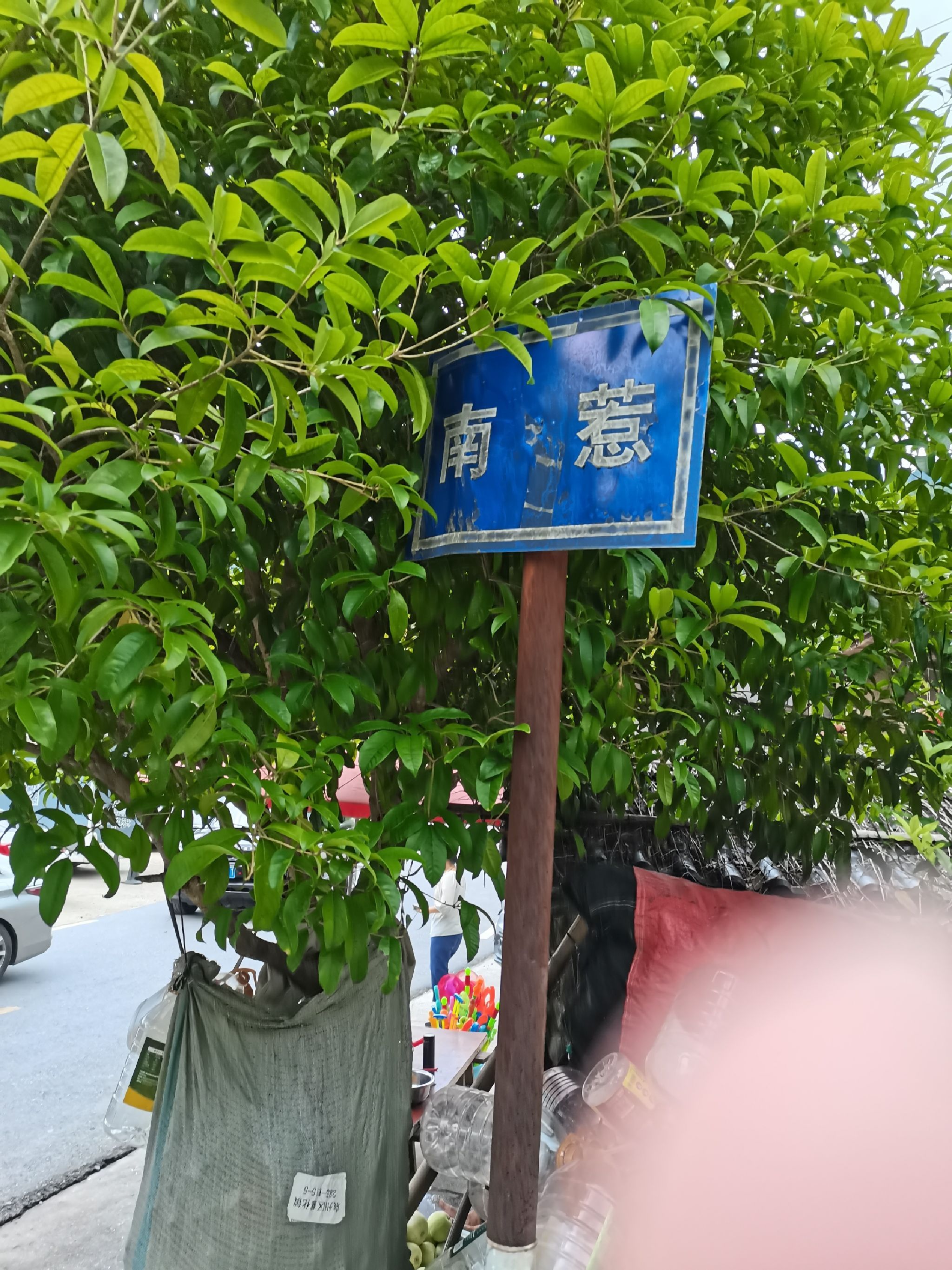 南惹古村旅行图片