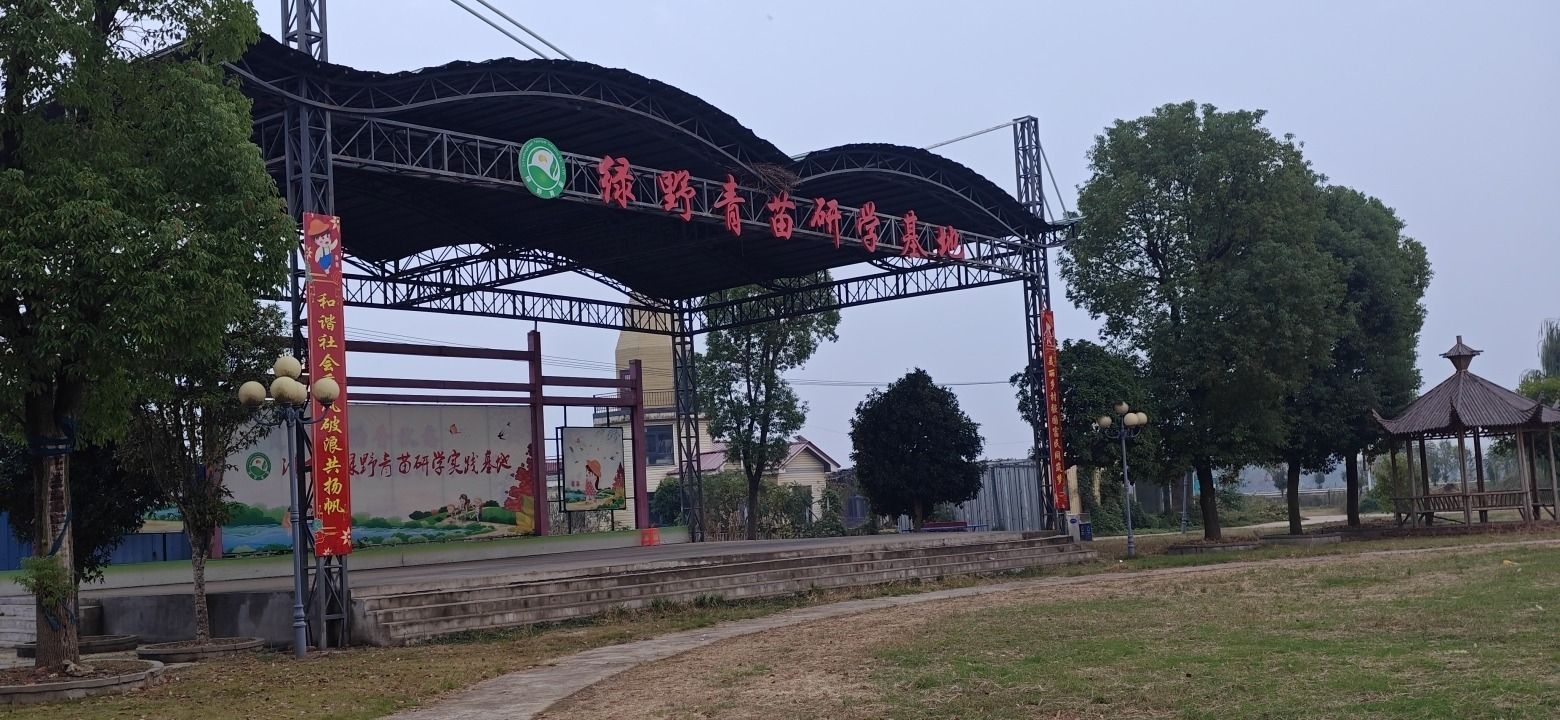 青苗社区腊八节广场