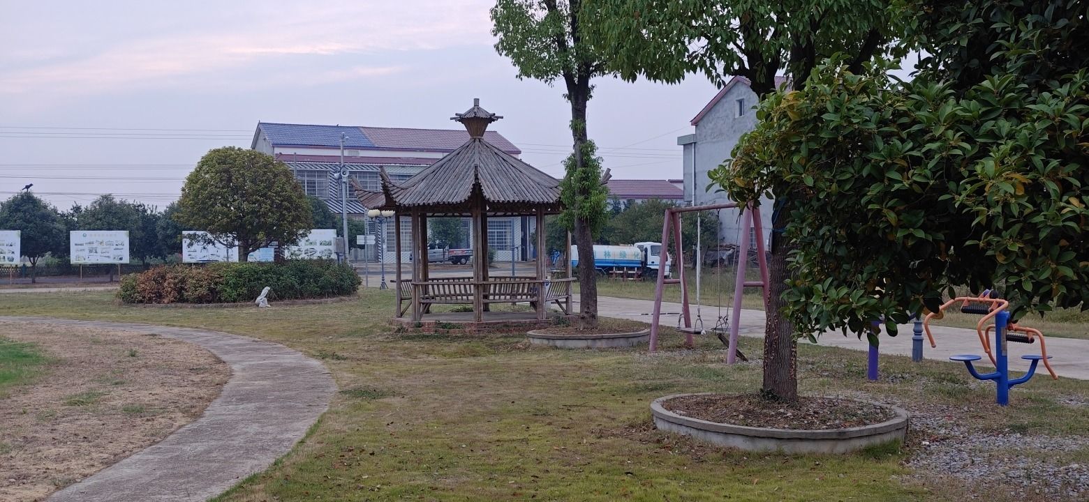 青苗社区腊八节广场旅行图片