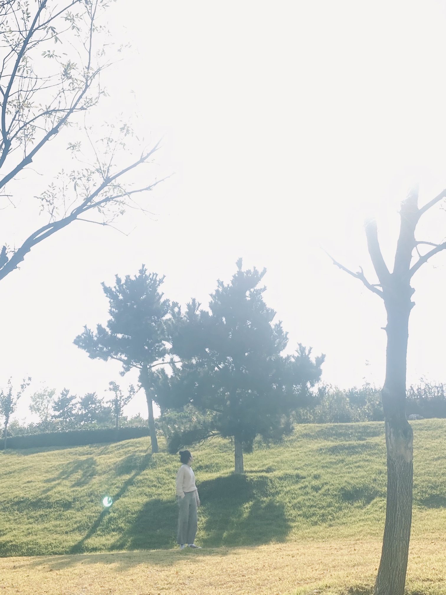 五渚河公园旅行图片