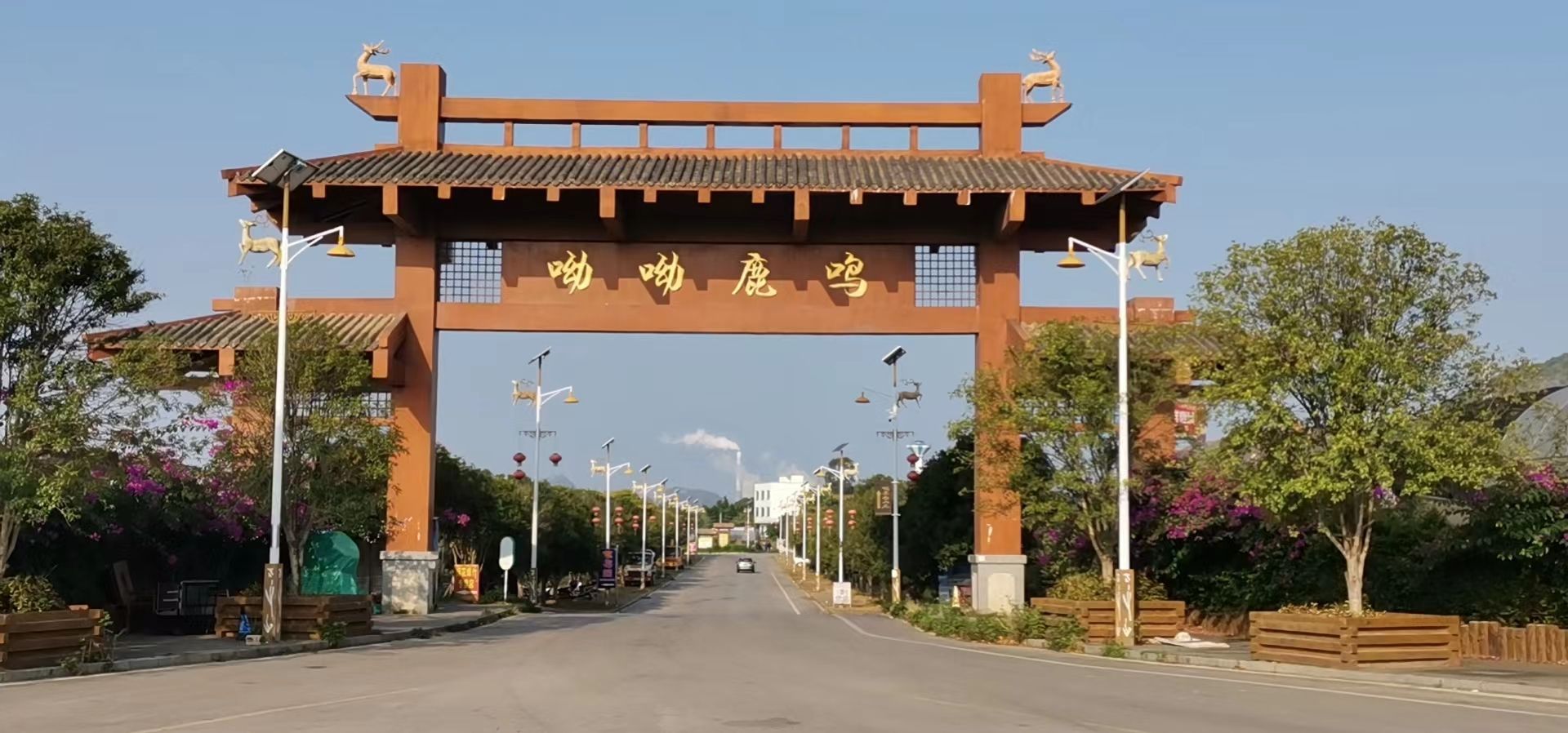 查比花海