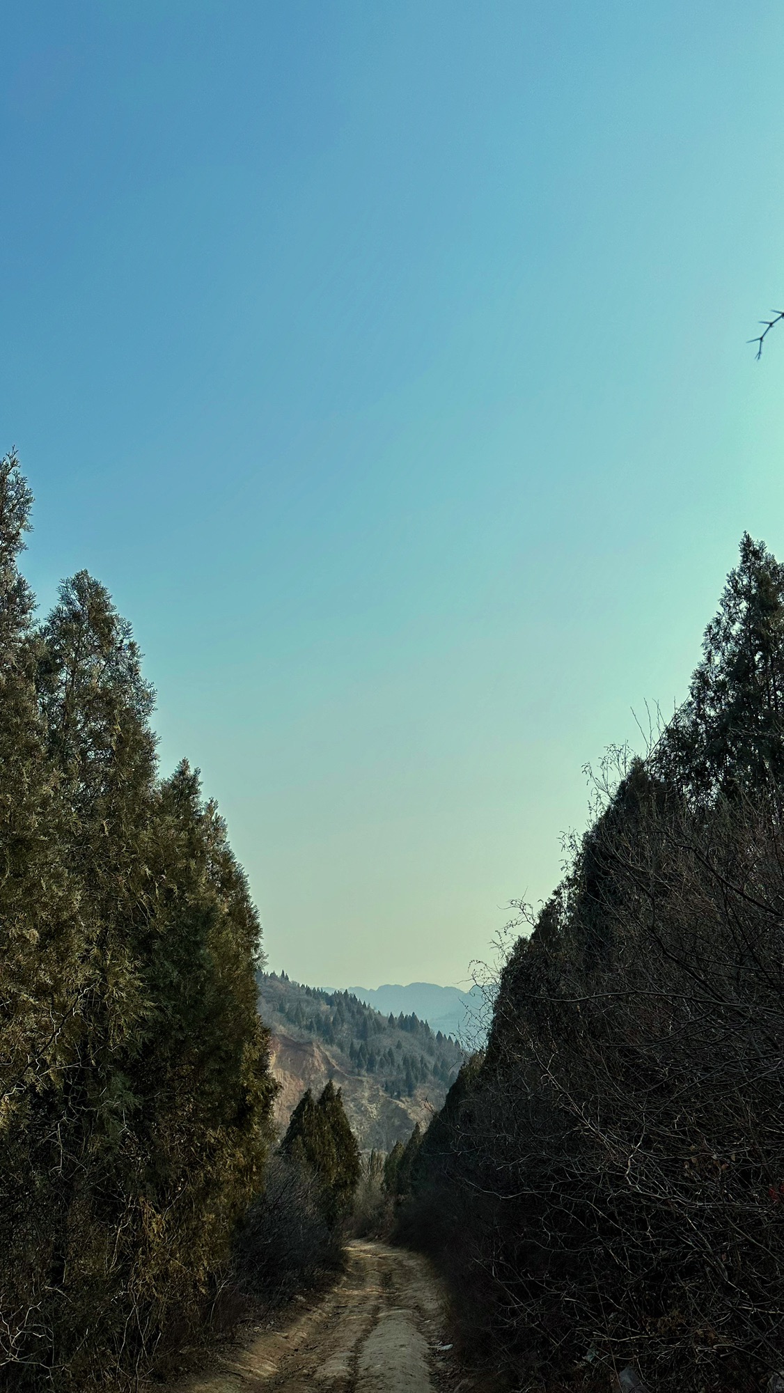 锦屏山生态园