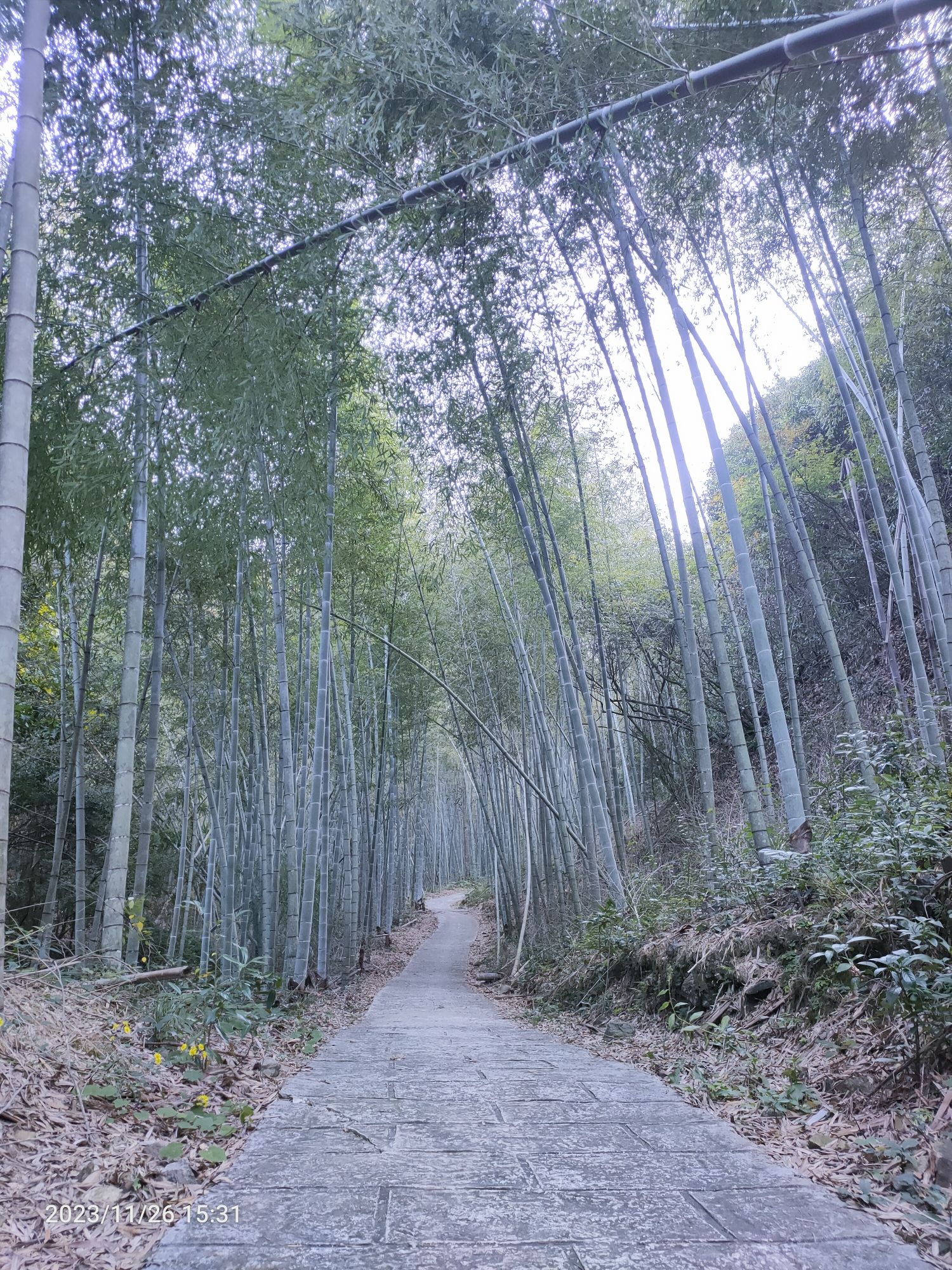 仙洞风景区