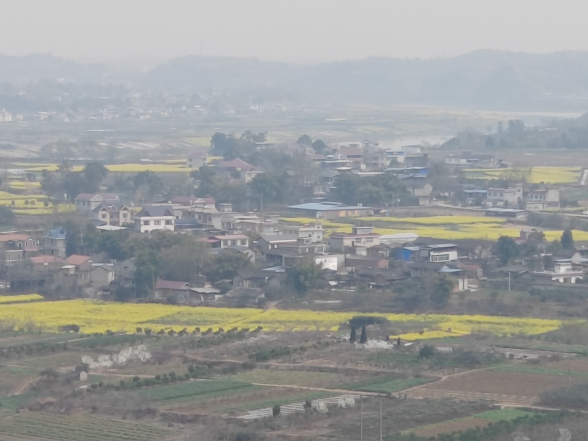 灵仙金渔桃缘景区旅行图片