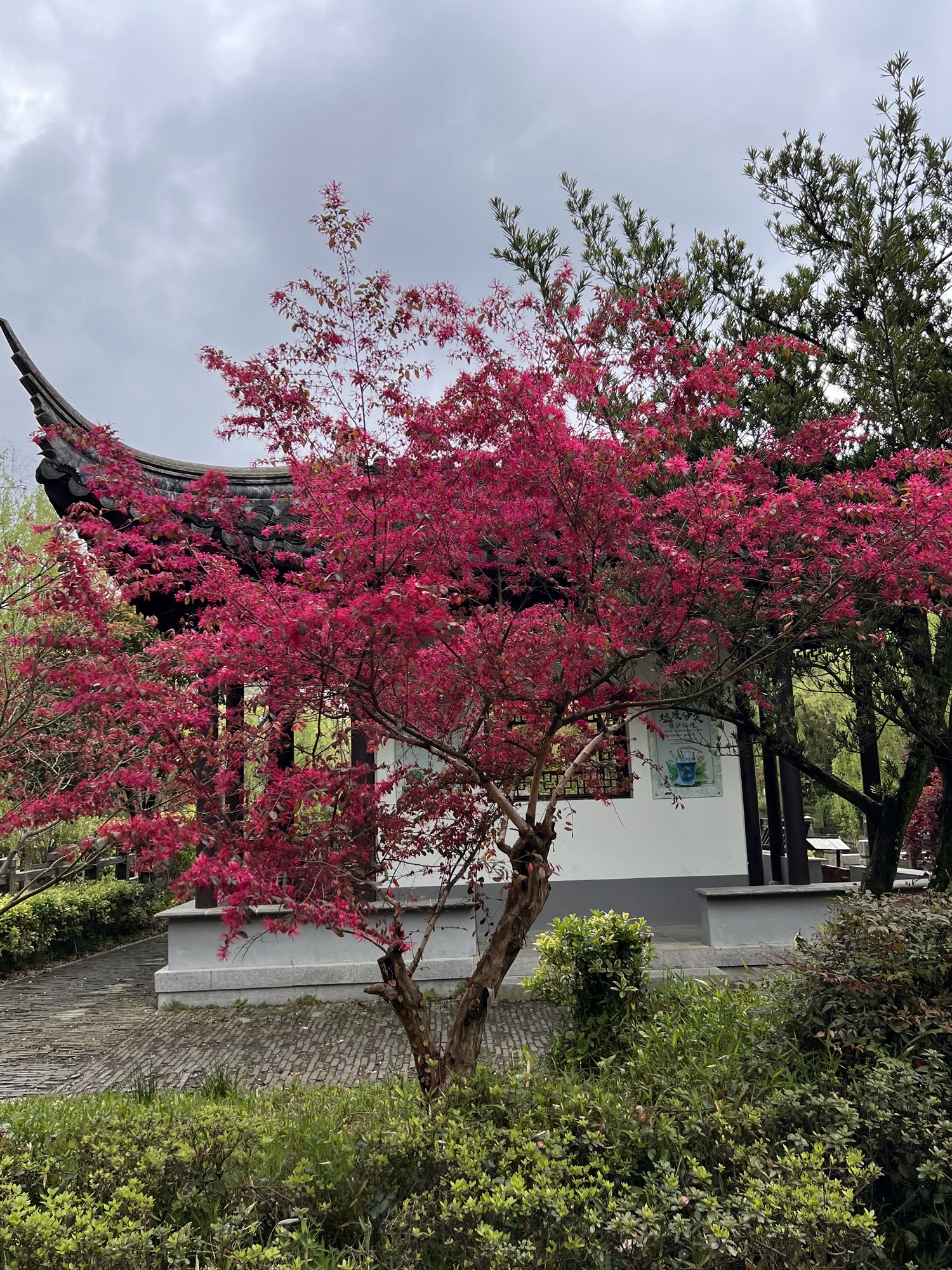 枫溪公园