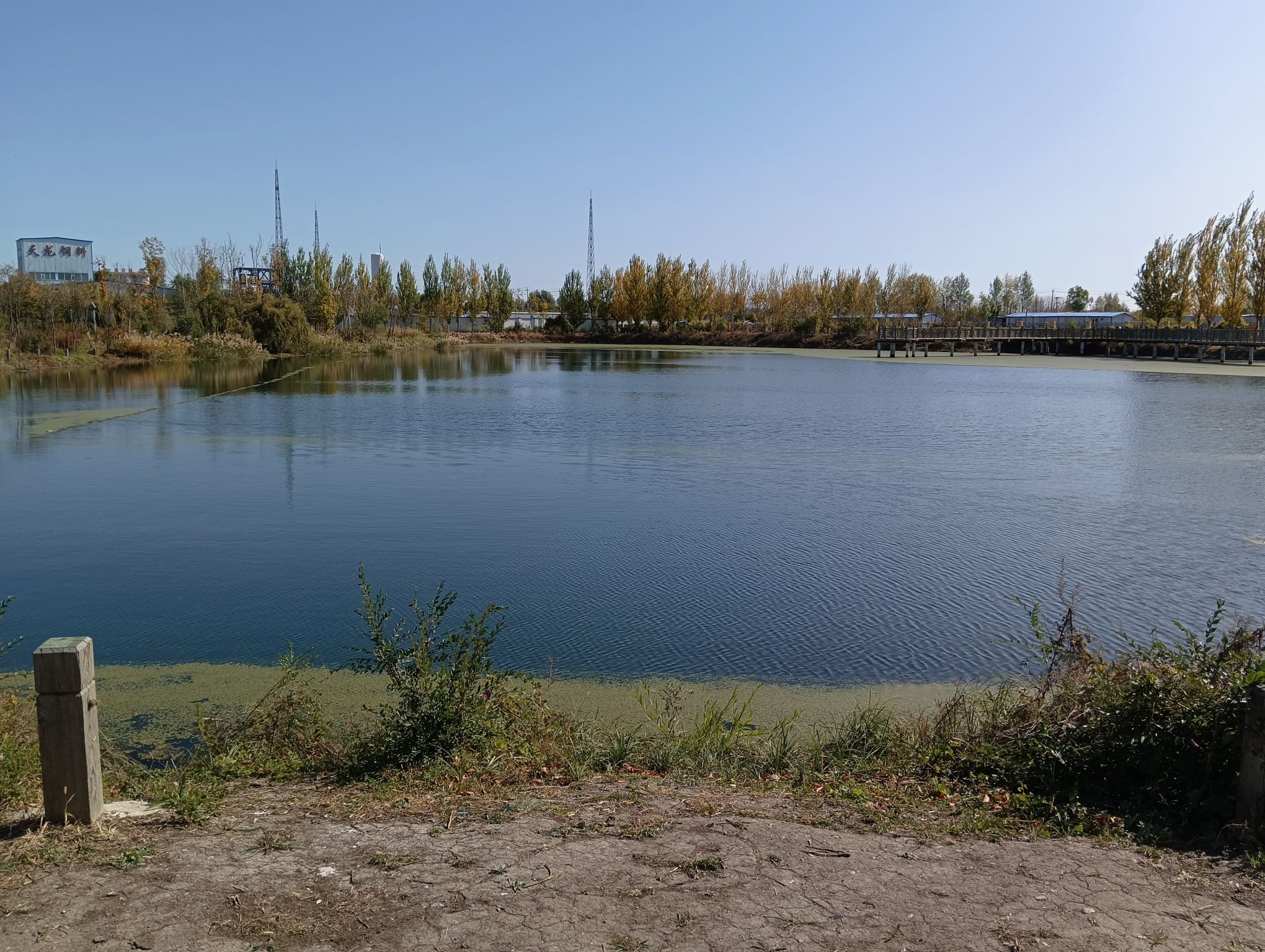 天鹅湖湿地公园旅行图片