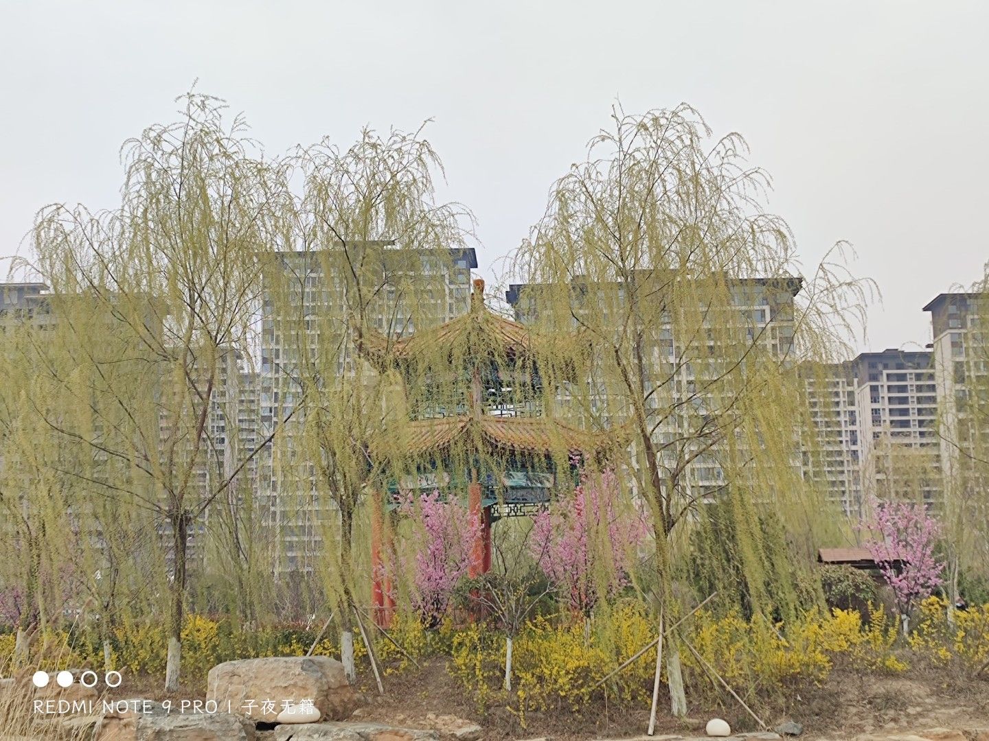 棠邑公园旅行图片