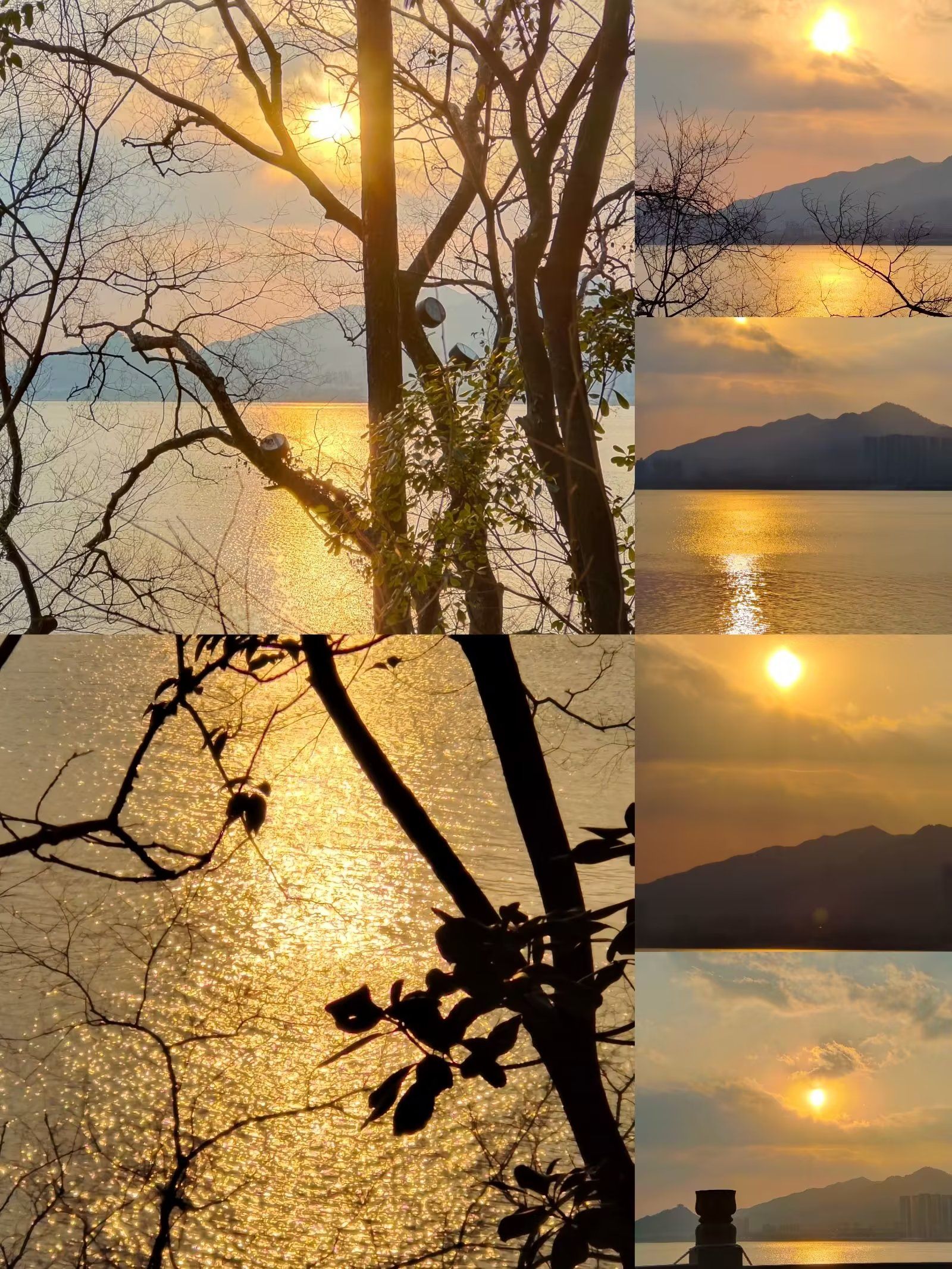 富阳新沙岛富春江景区