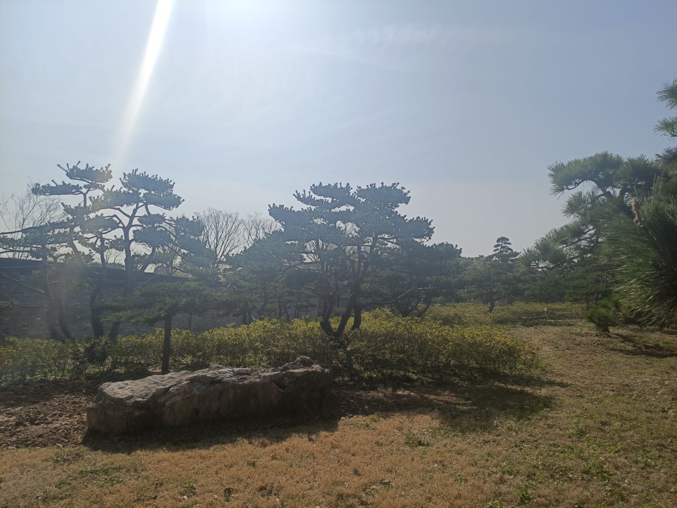 清芳园