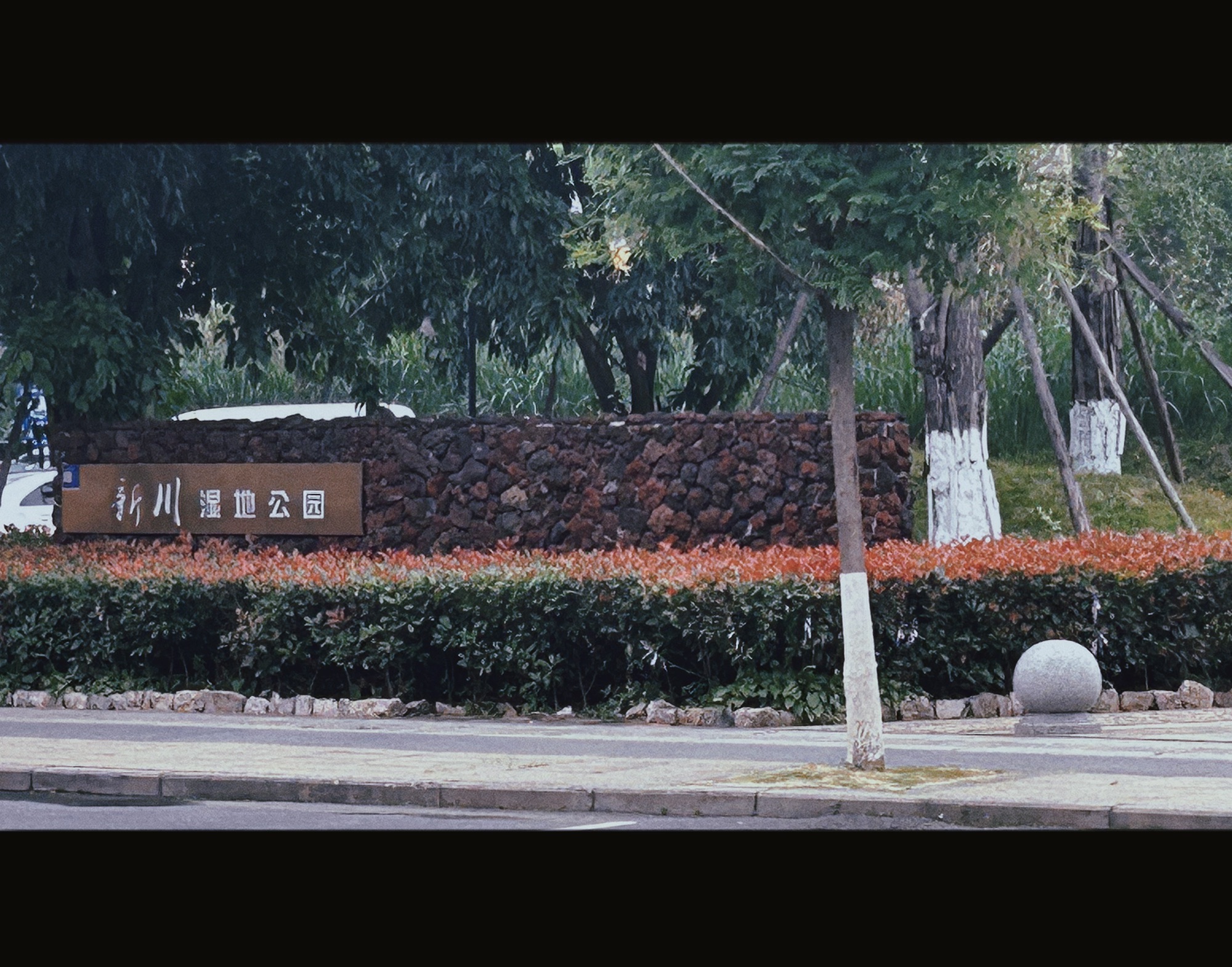 新川湿地公园