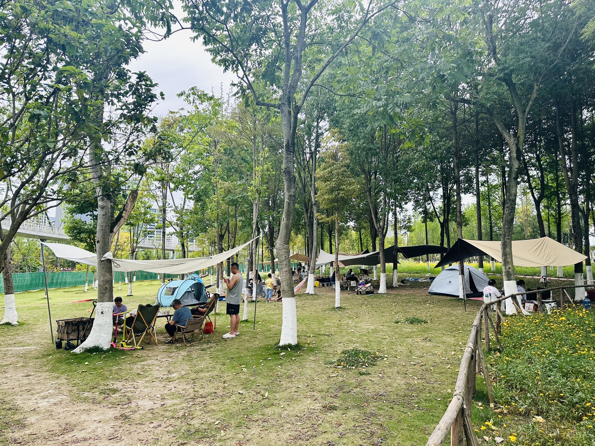 新川湿地公园旅行图片