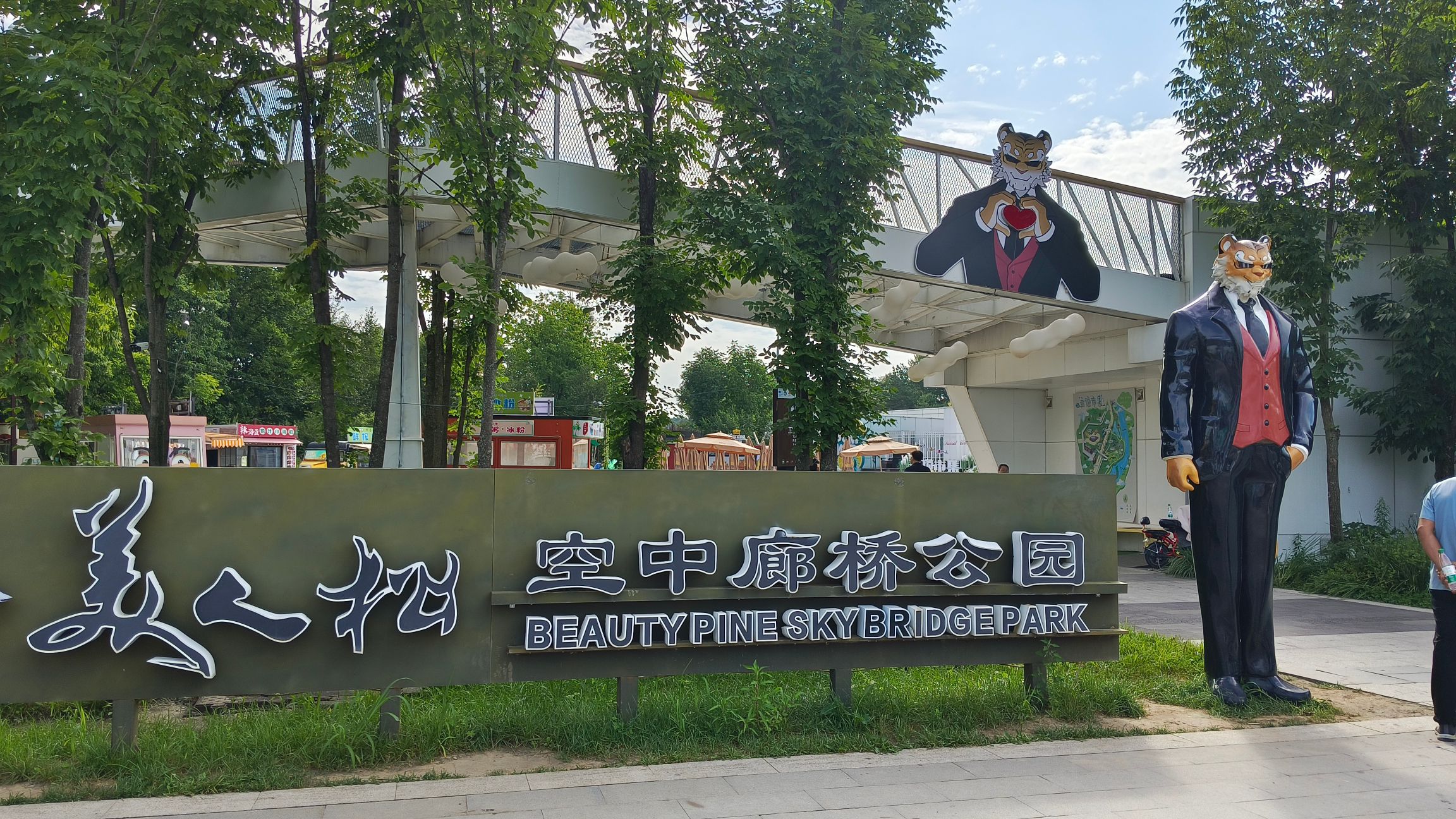 美人松空中廊桥公园旅行图片