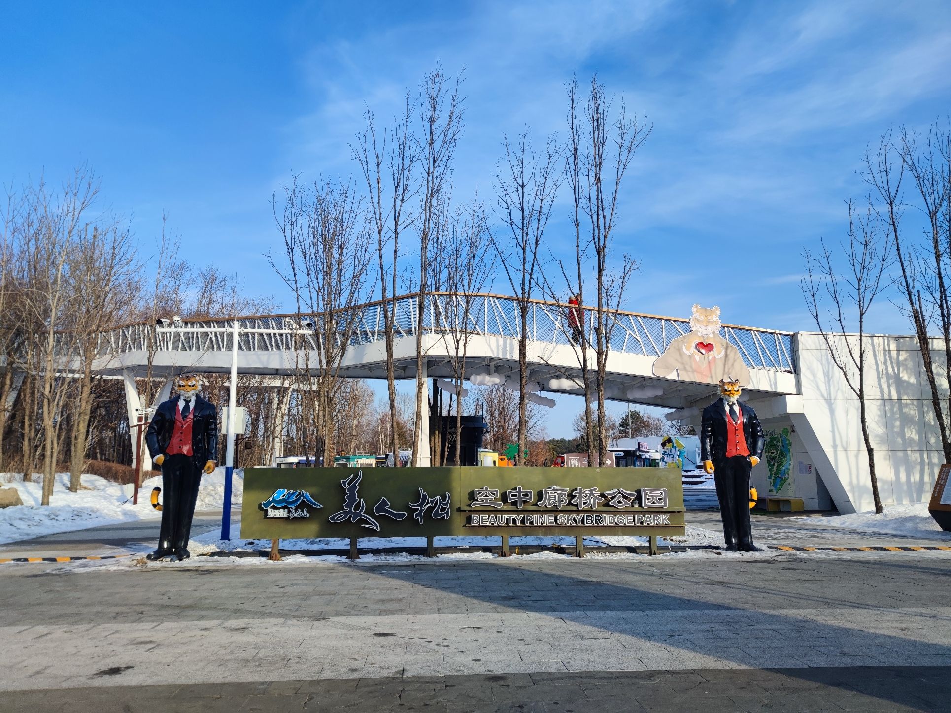 美人松空中廊桥公园旅行图片