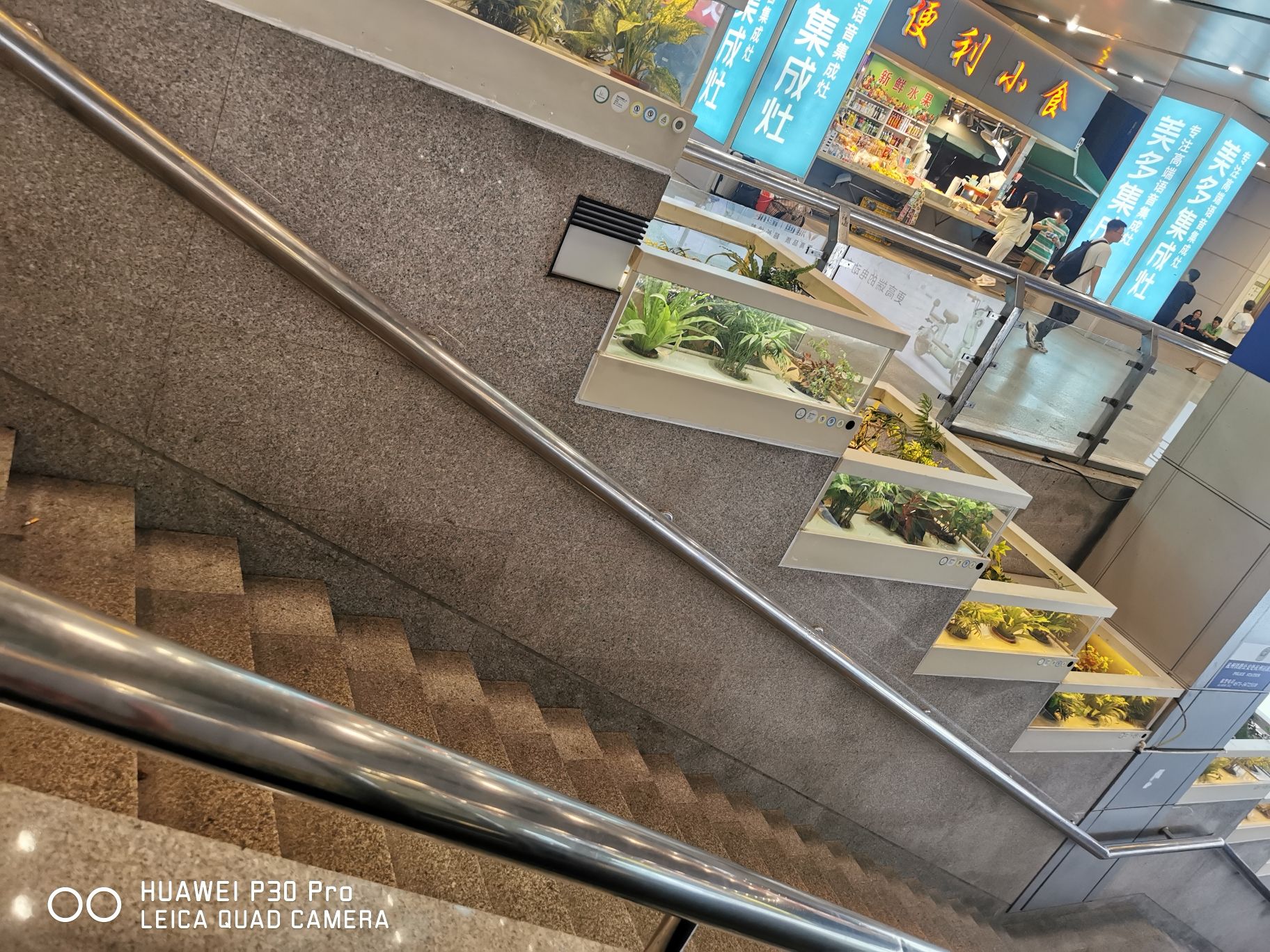 亳州市奇花园旅行图片