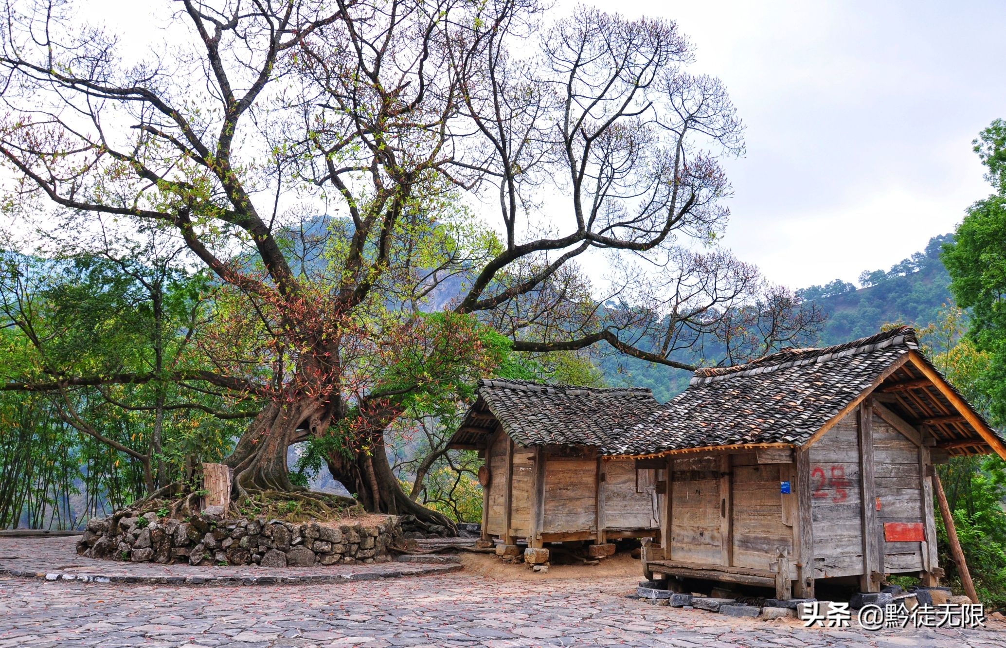 天门布依古村落旅行图片