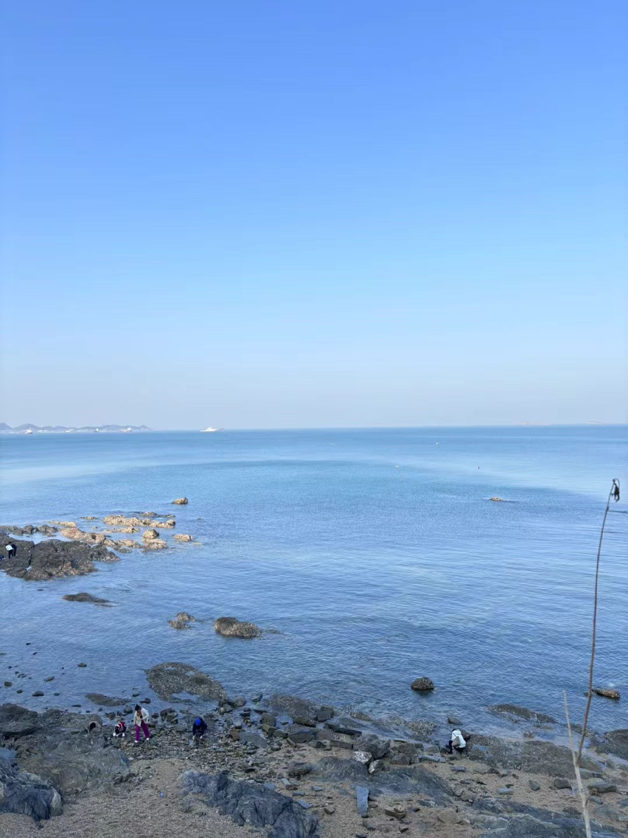 烟台开发区海螺广场旅行图片