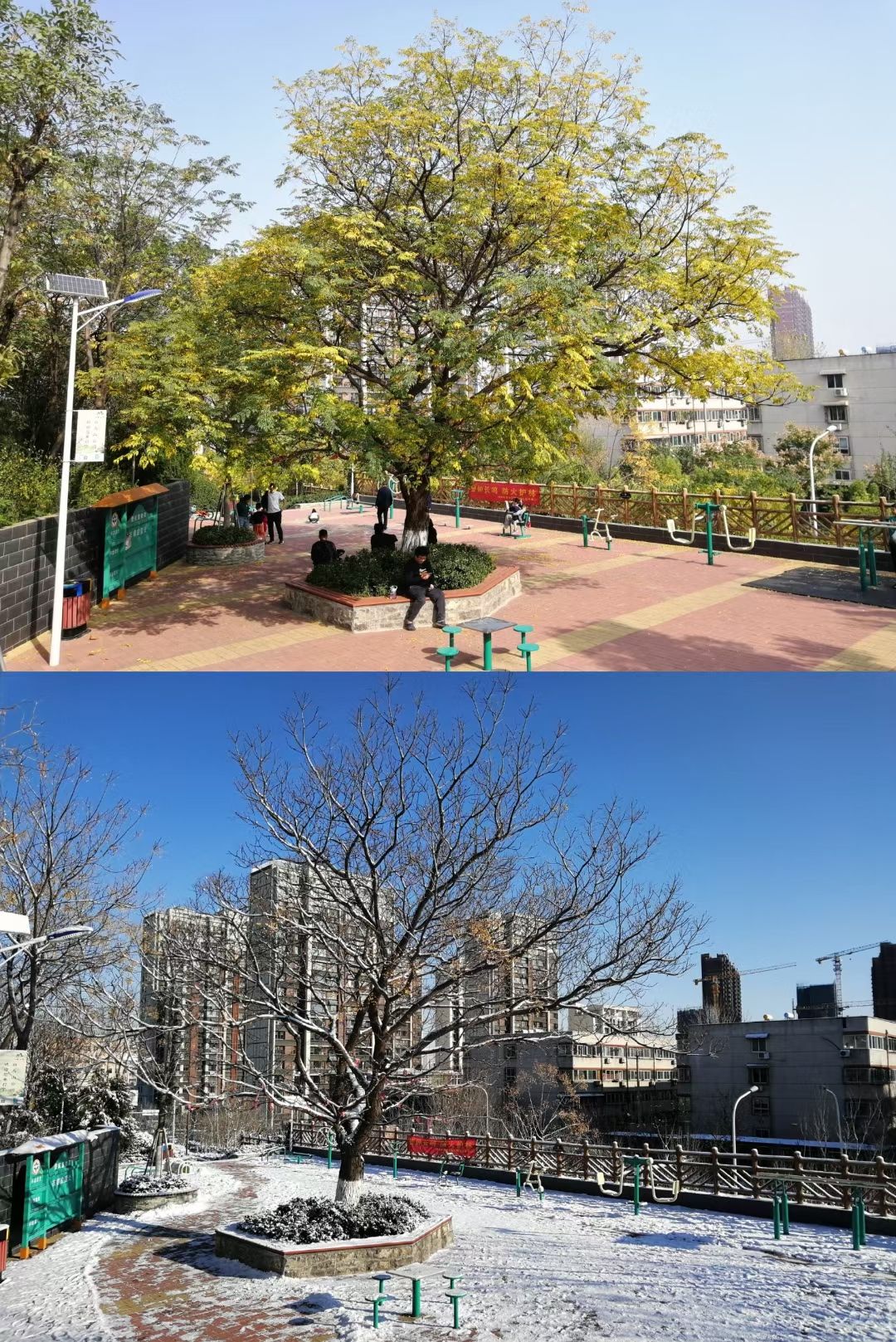 白马山公园旅行图片