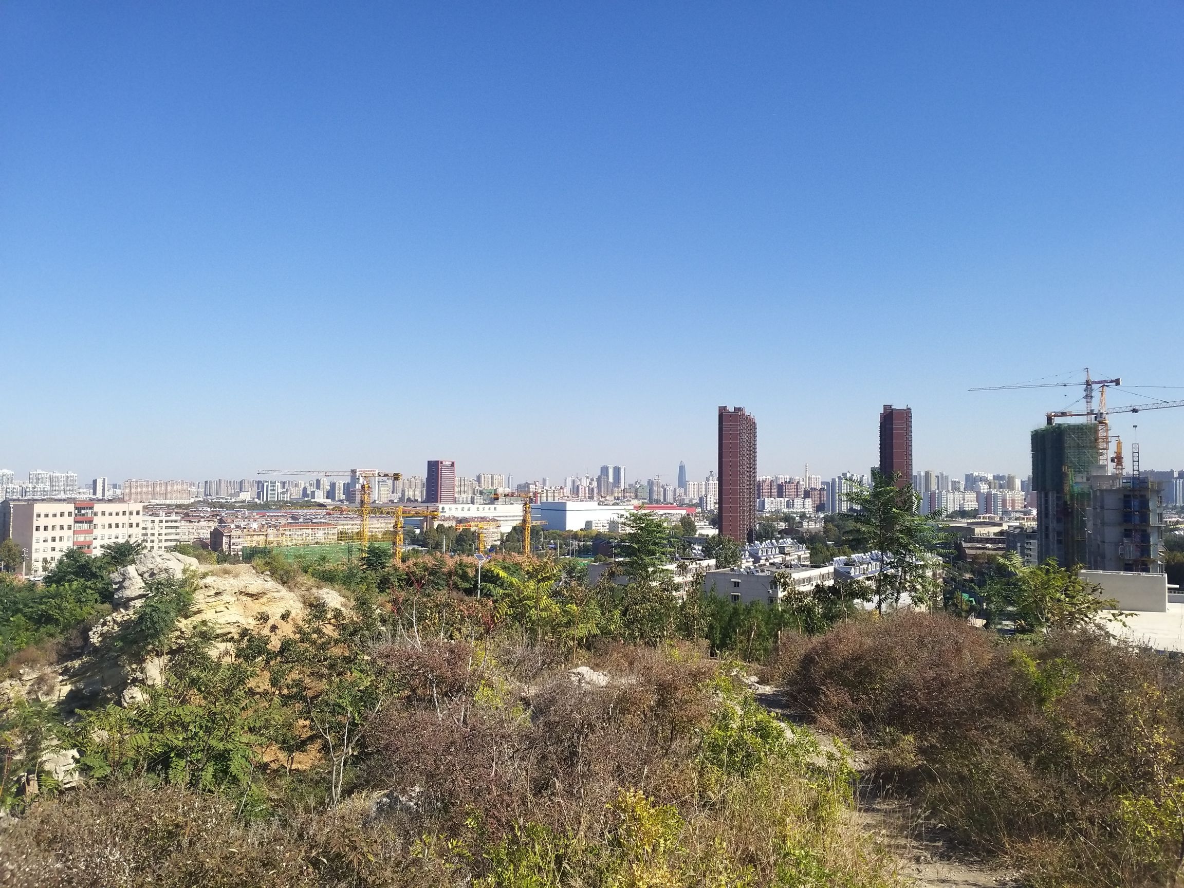 白马山公园旅行图片