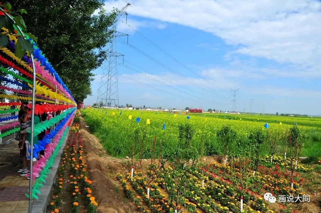 大同黄花公园