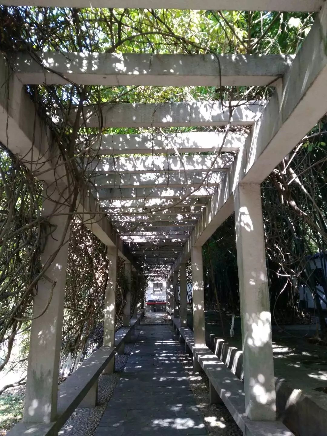 王安石故里