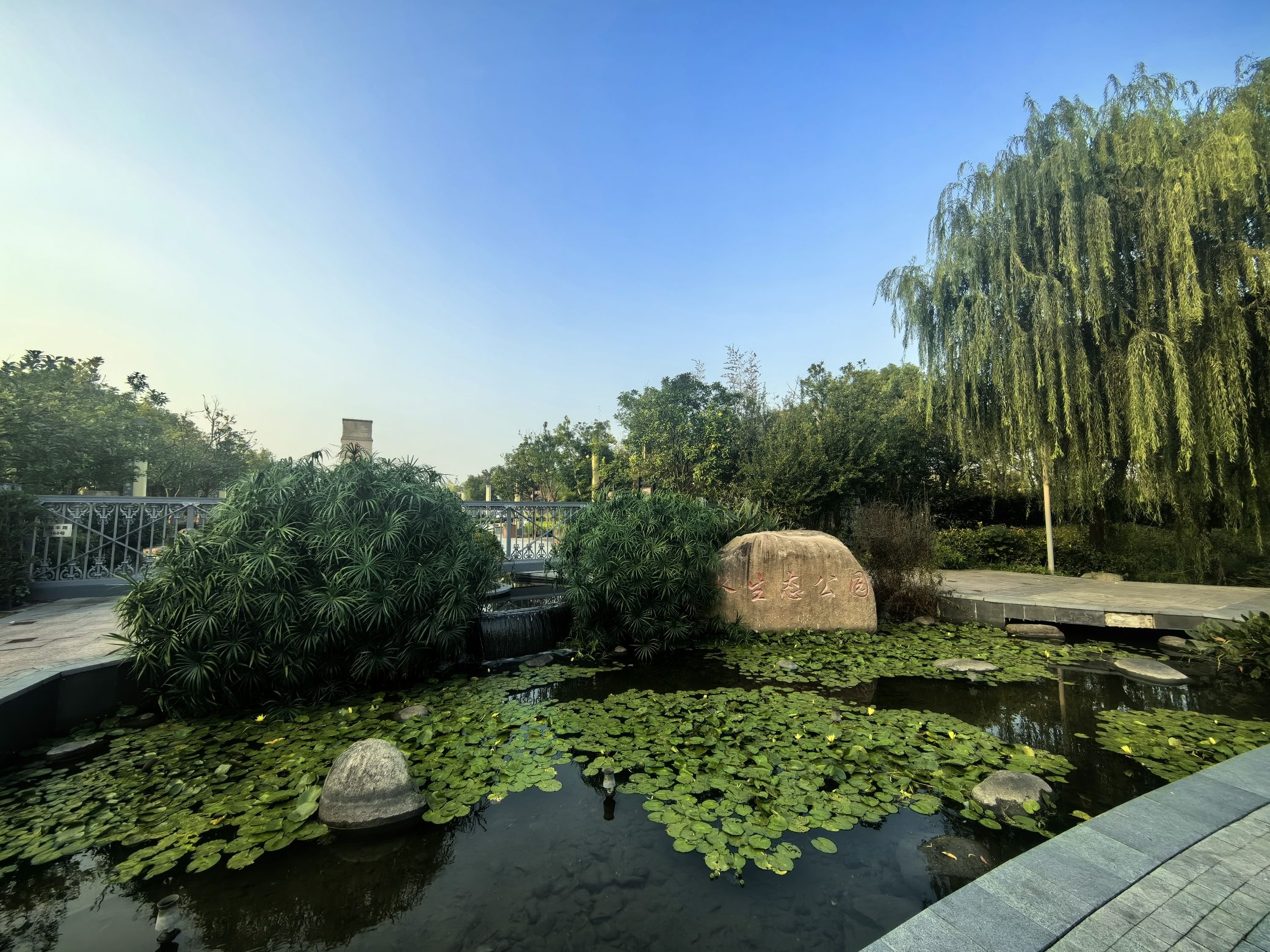 南翔水生态公园