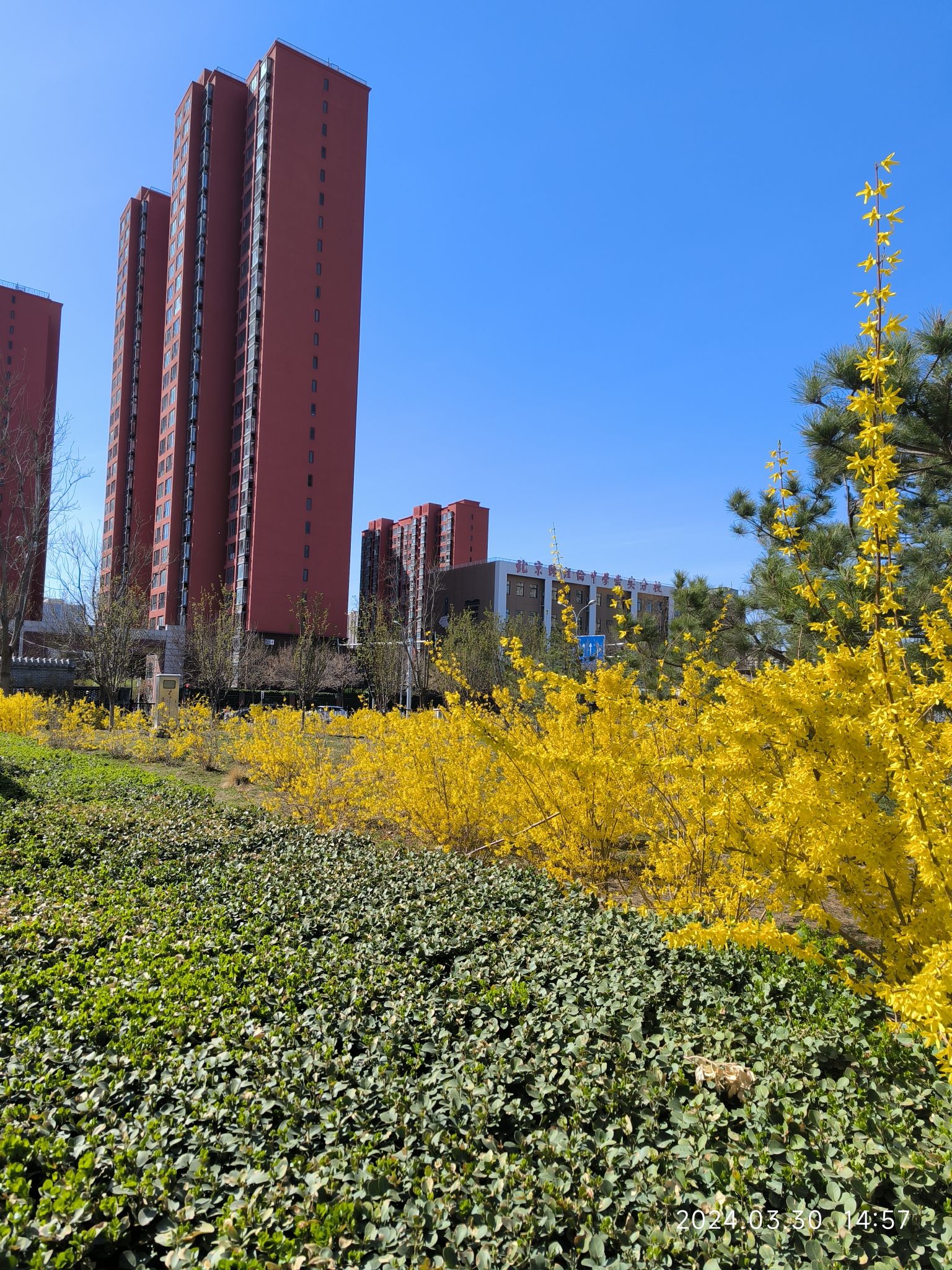 官庄公园旅行图片