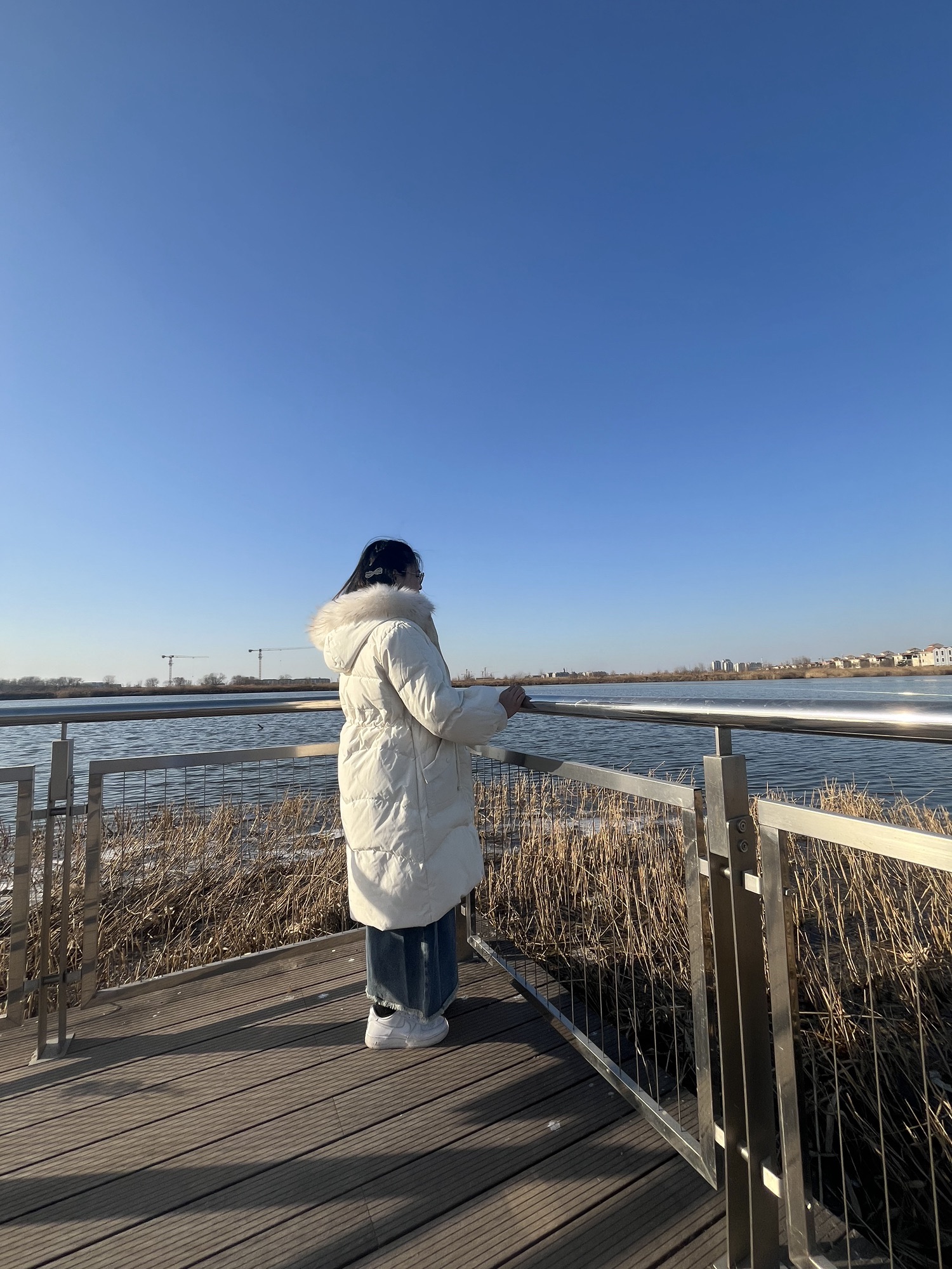 生态城中新友好花园旅行图片