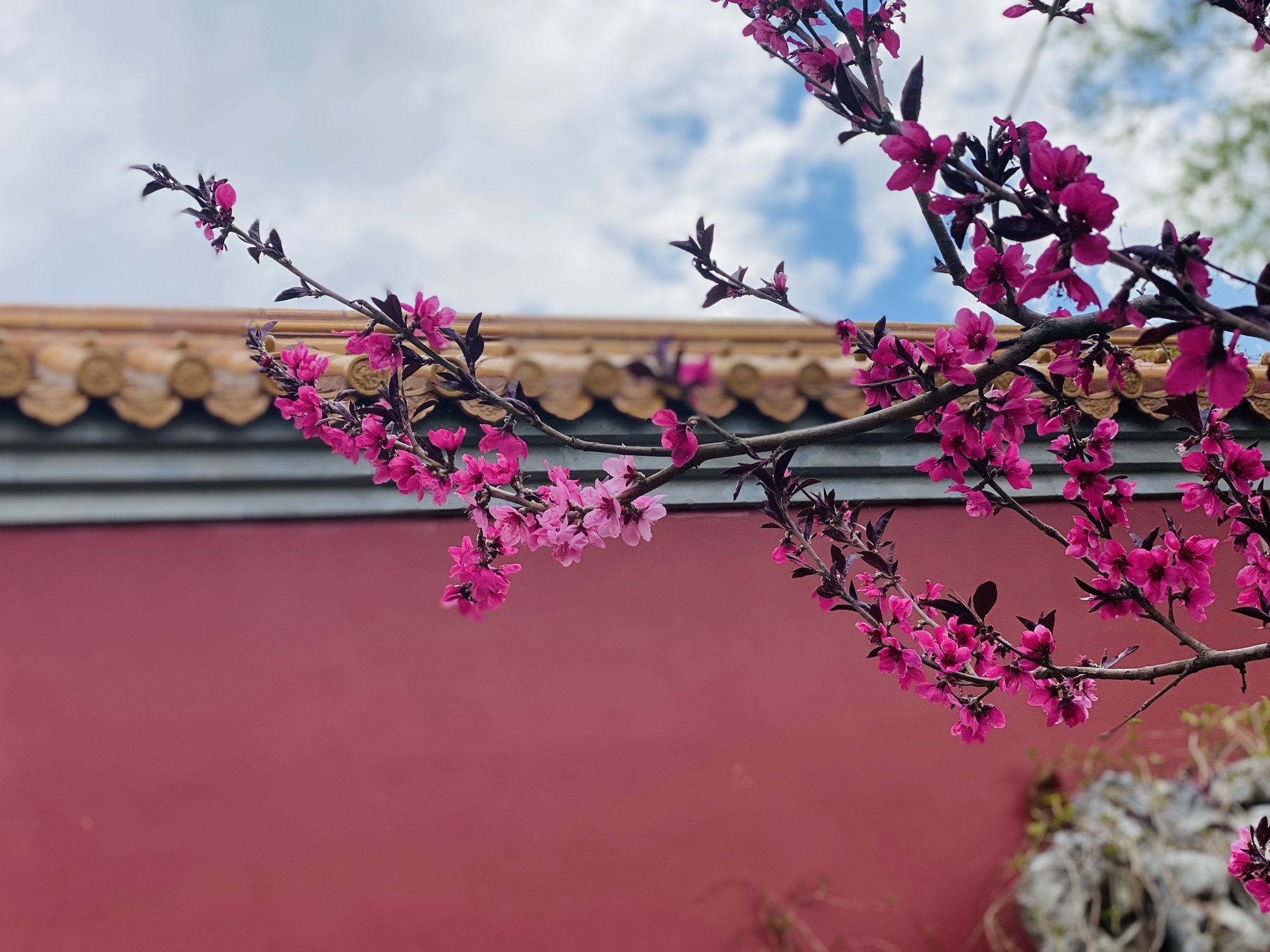 北京世园国际旅游度假区旅行图片