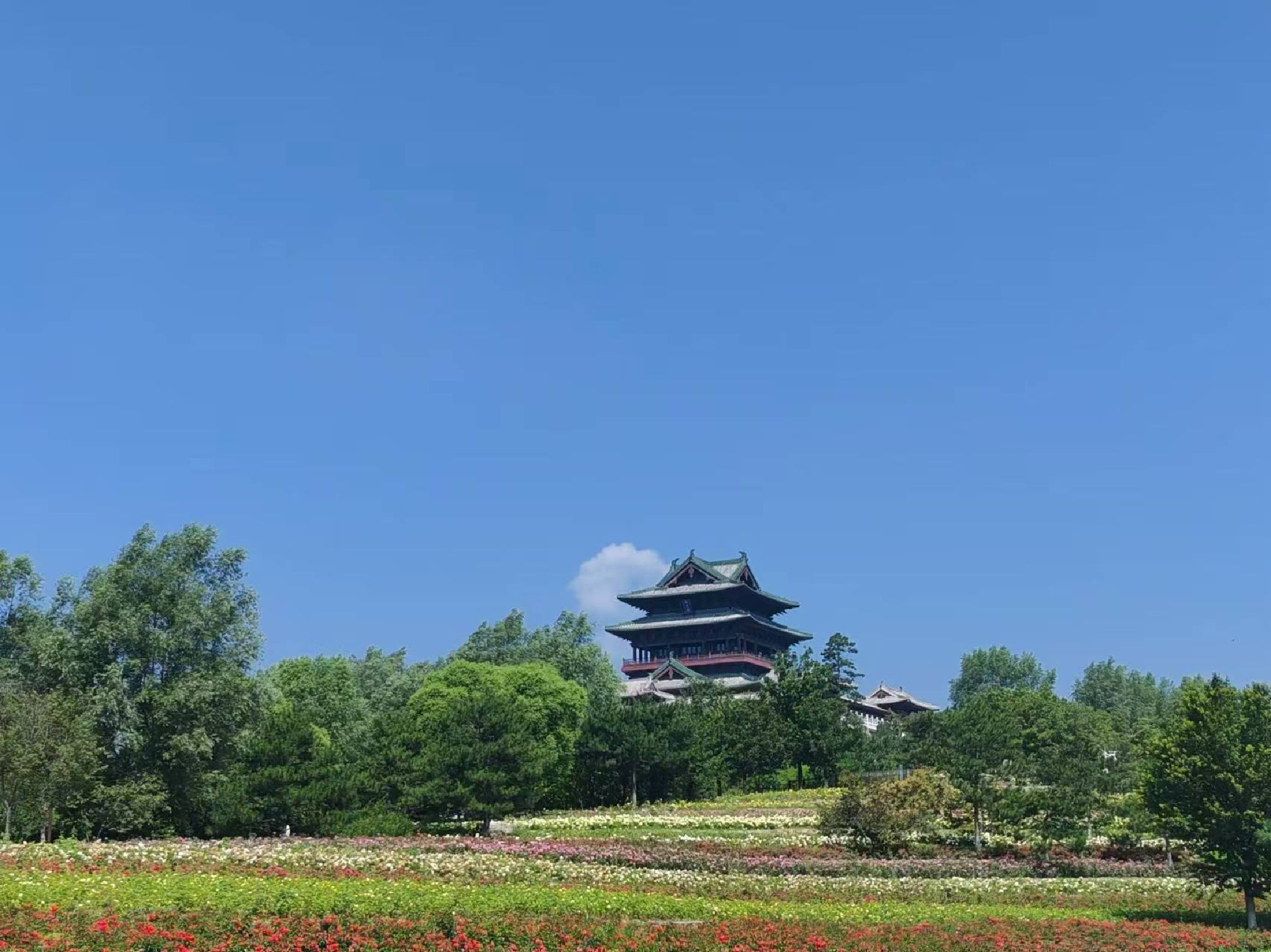北京世园国际旅游度假区旅行图片