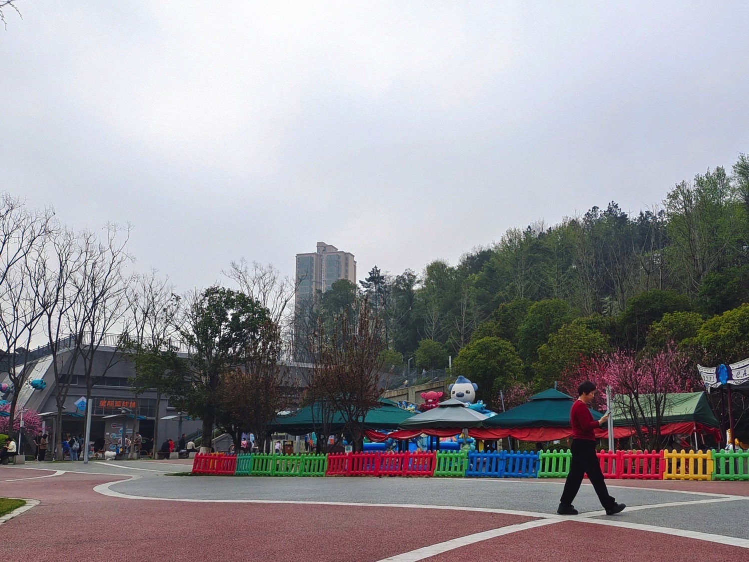 狮子山森林公园旅行图片