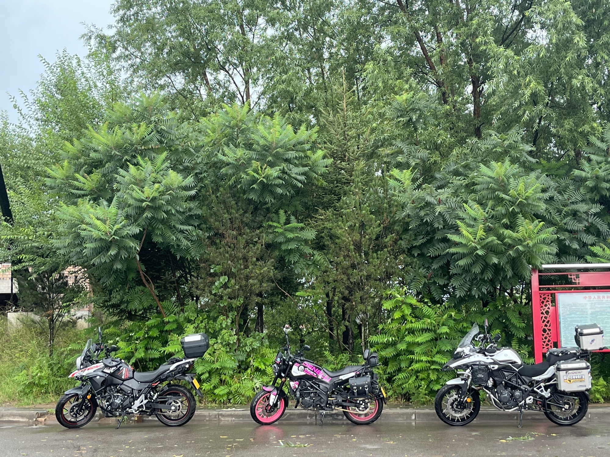 精卫湖国家湿地公园旅行图片