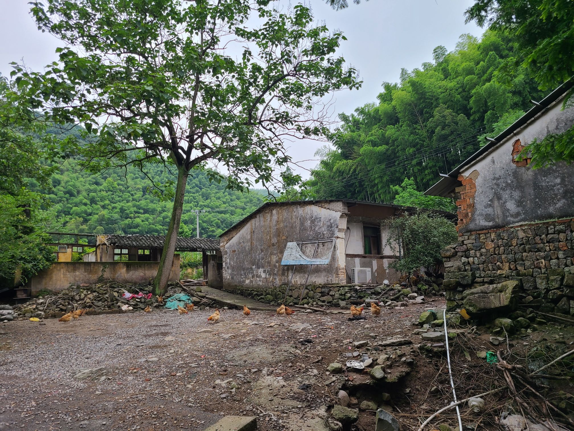 桐岭仙境