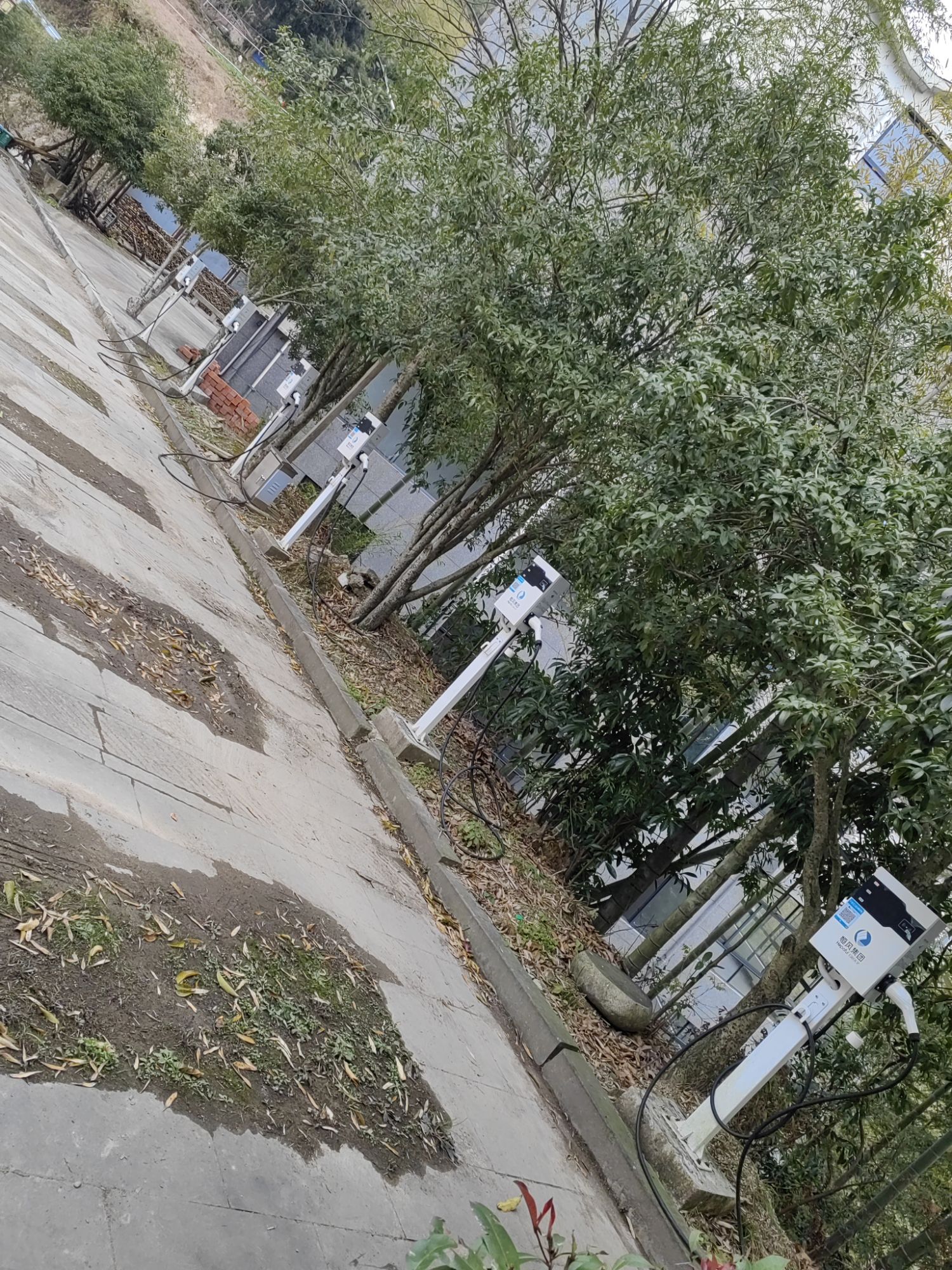 北山村云端天桥旅行图片