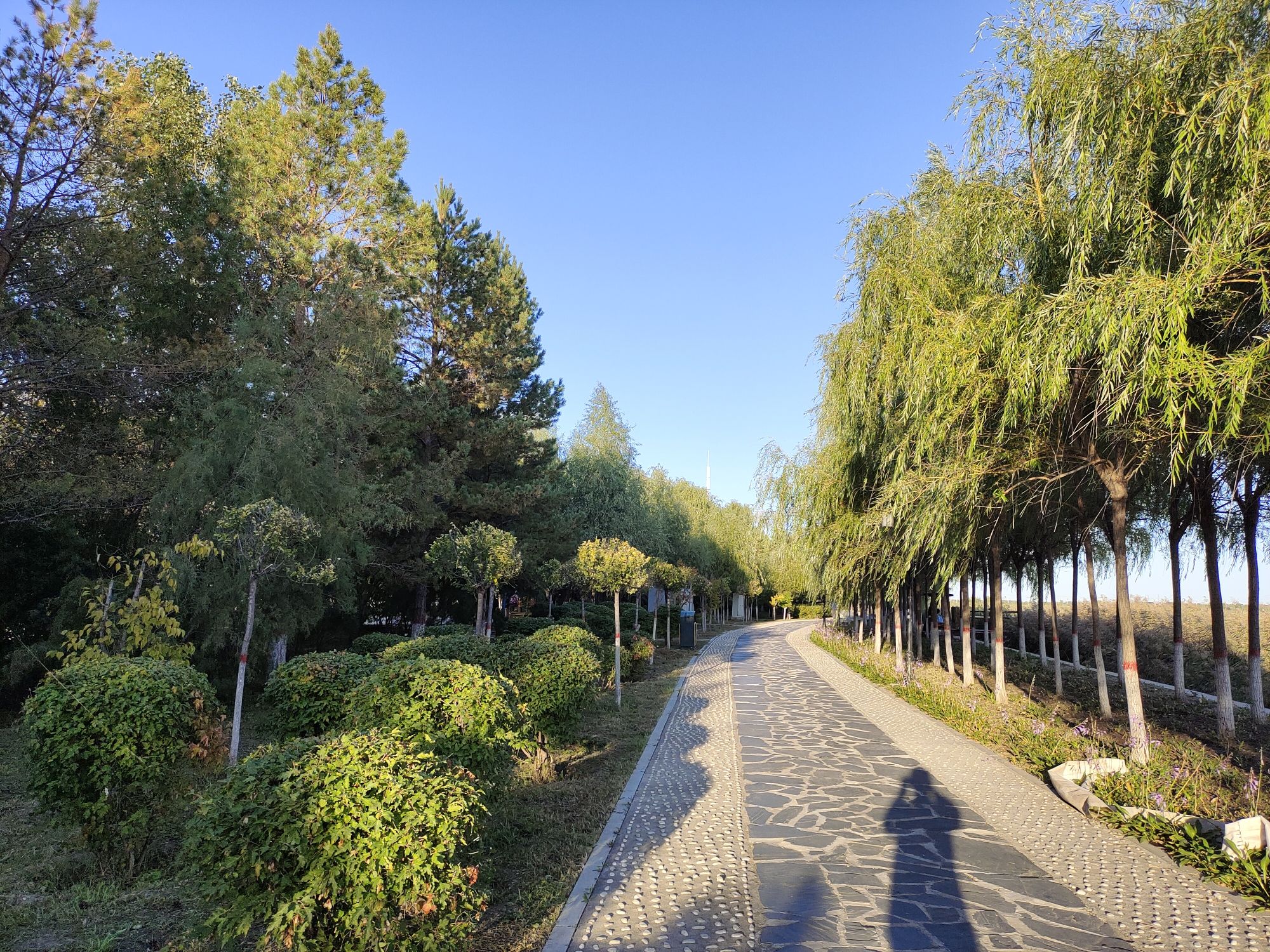 南湖国家湿地公园