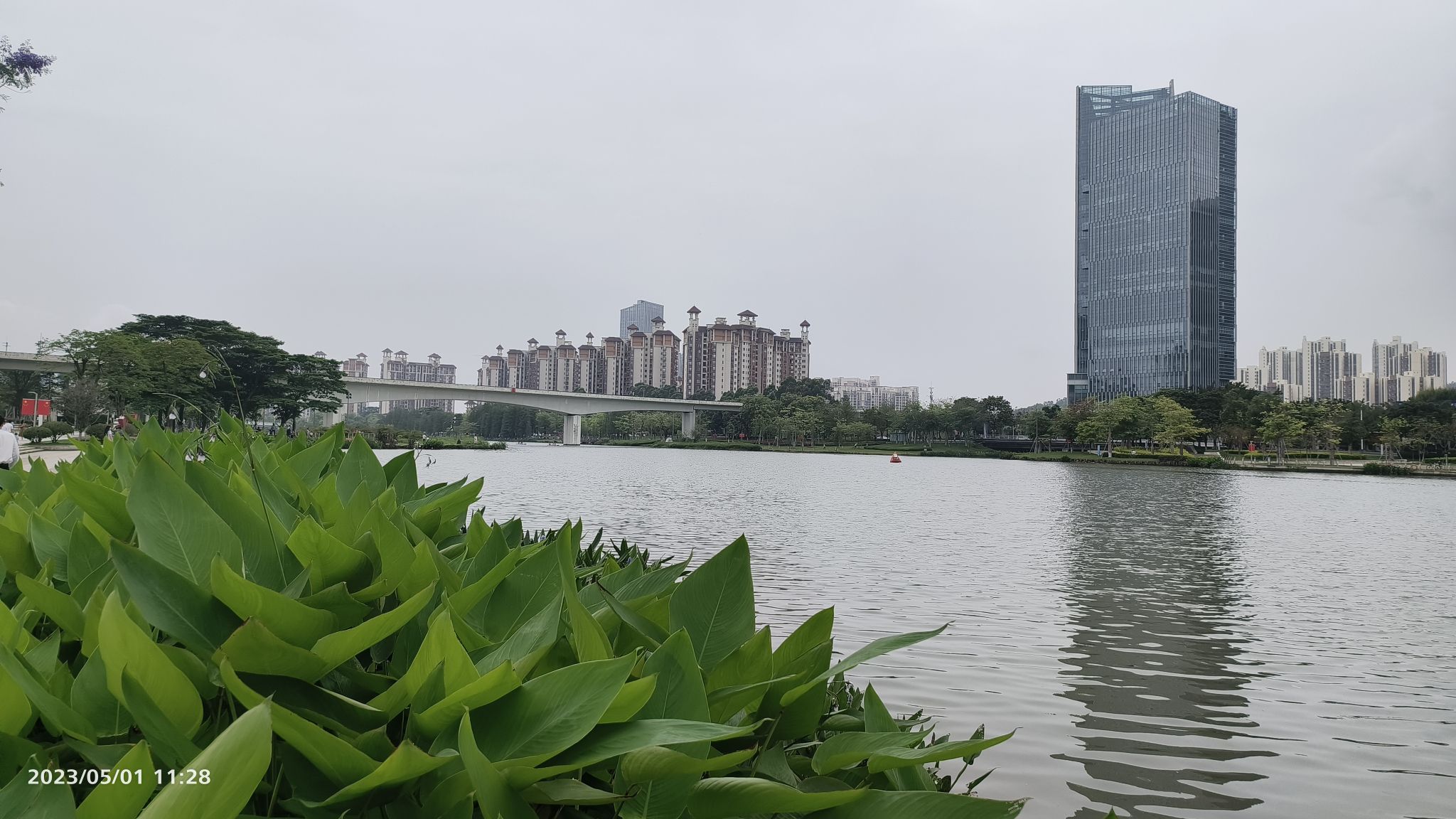南沙蕉门河景区