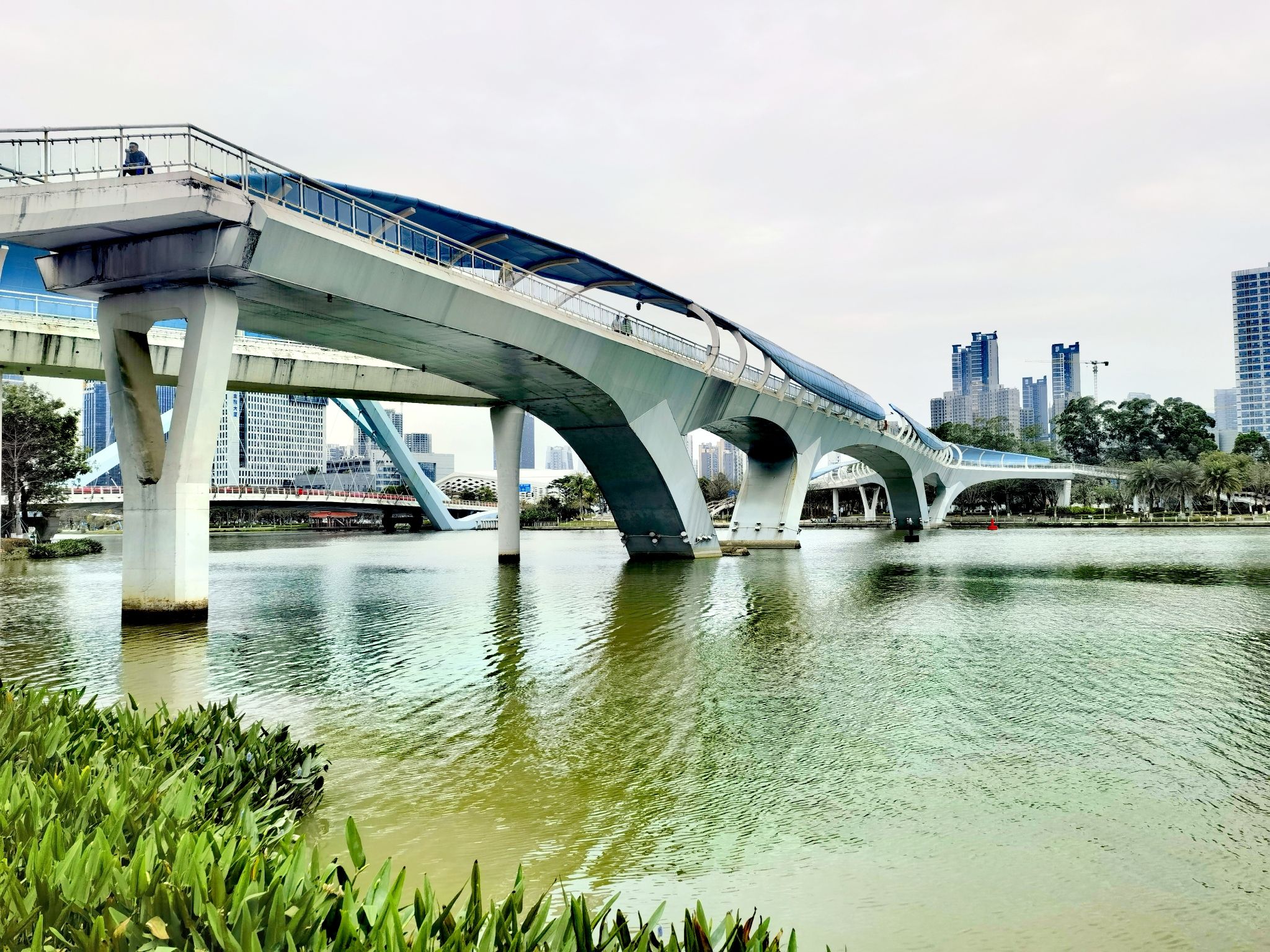南沙蕉门河景区旅行图片
