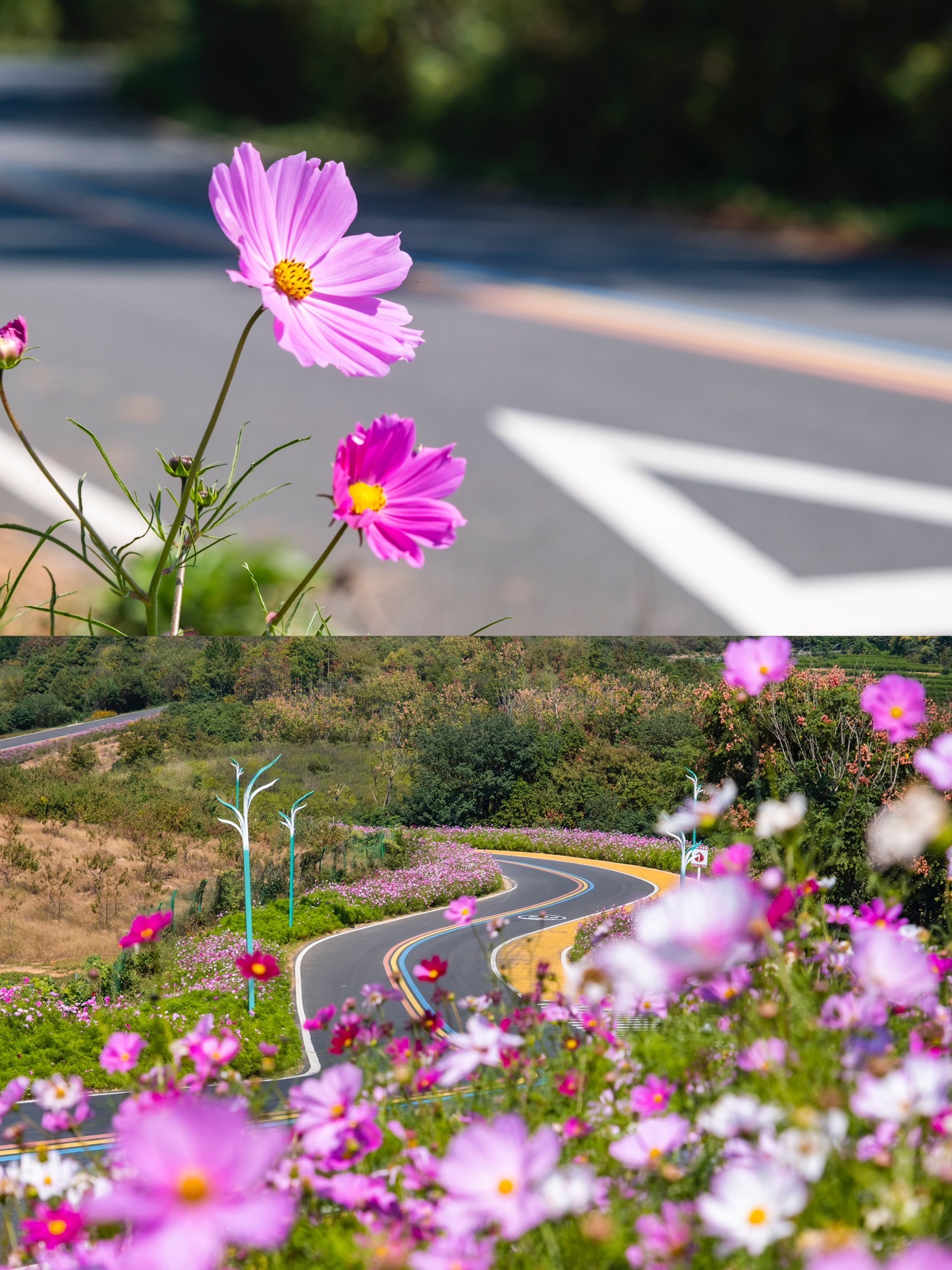 七彩曹山