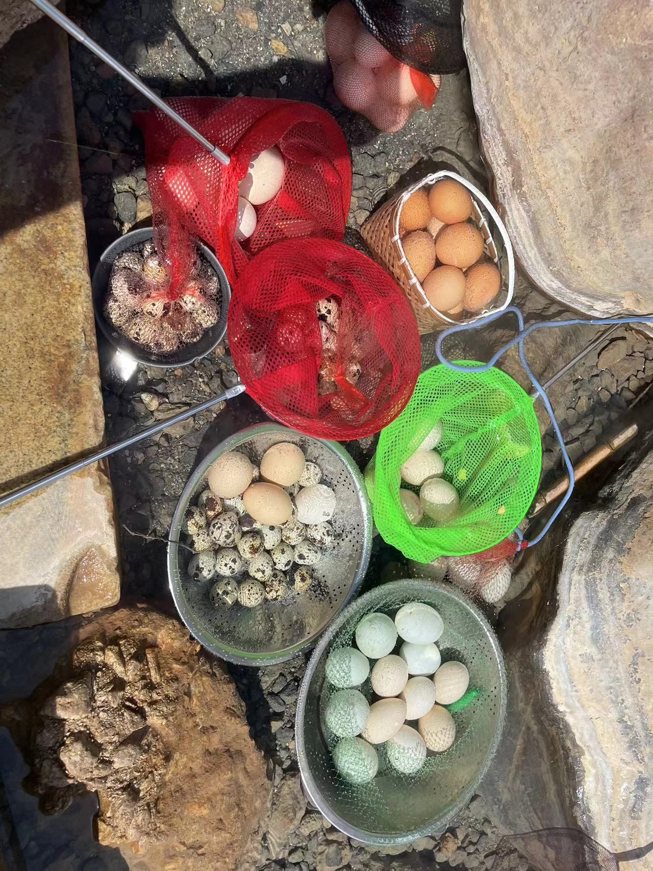 三江口温泉湿地公园旅行图片