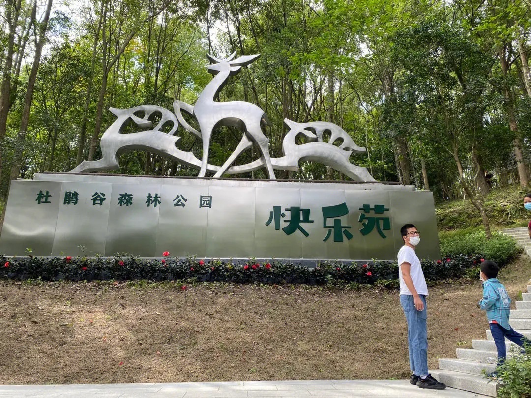 浙中杜鹃谷