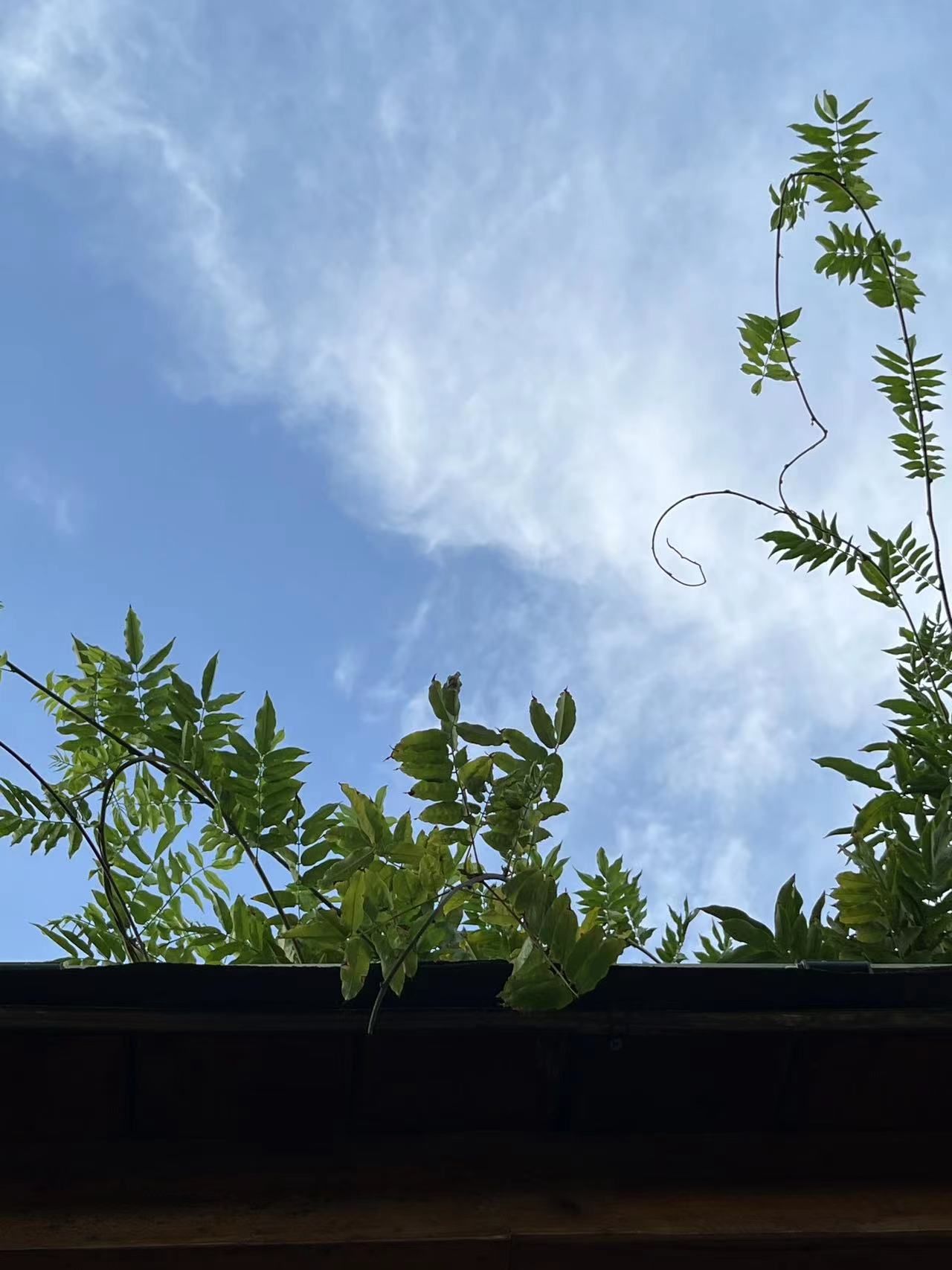 生态植物公园