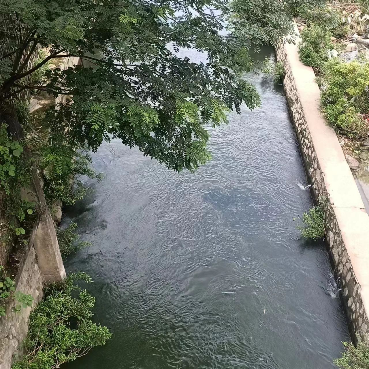 龙虎古镇
