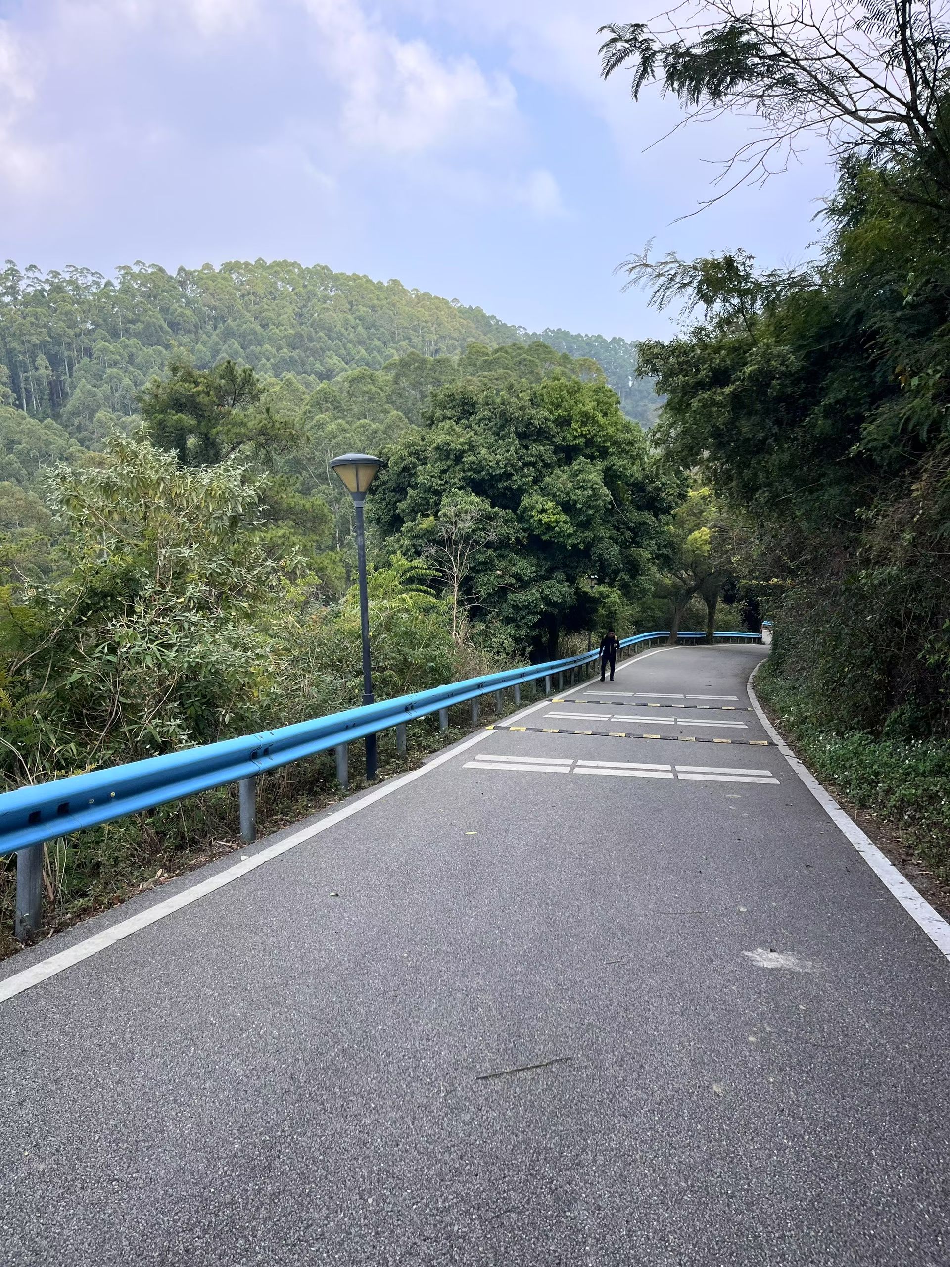 古亭山森林公园