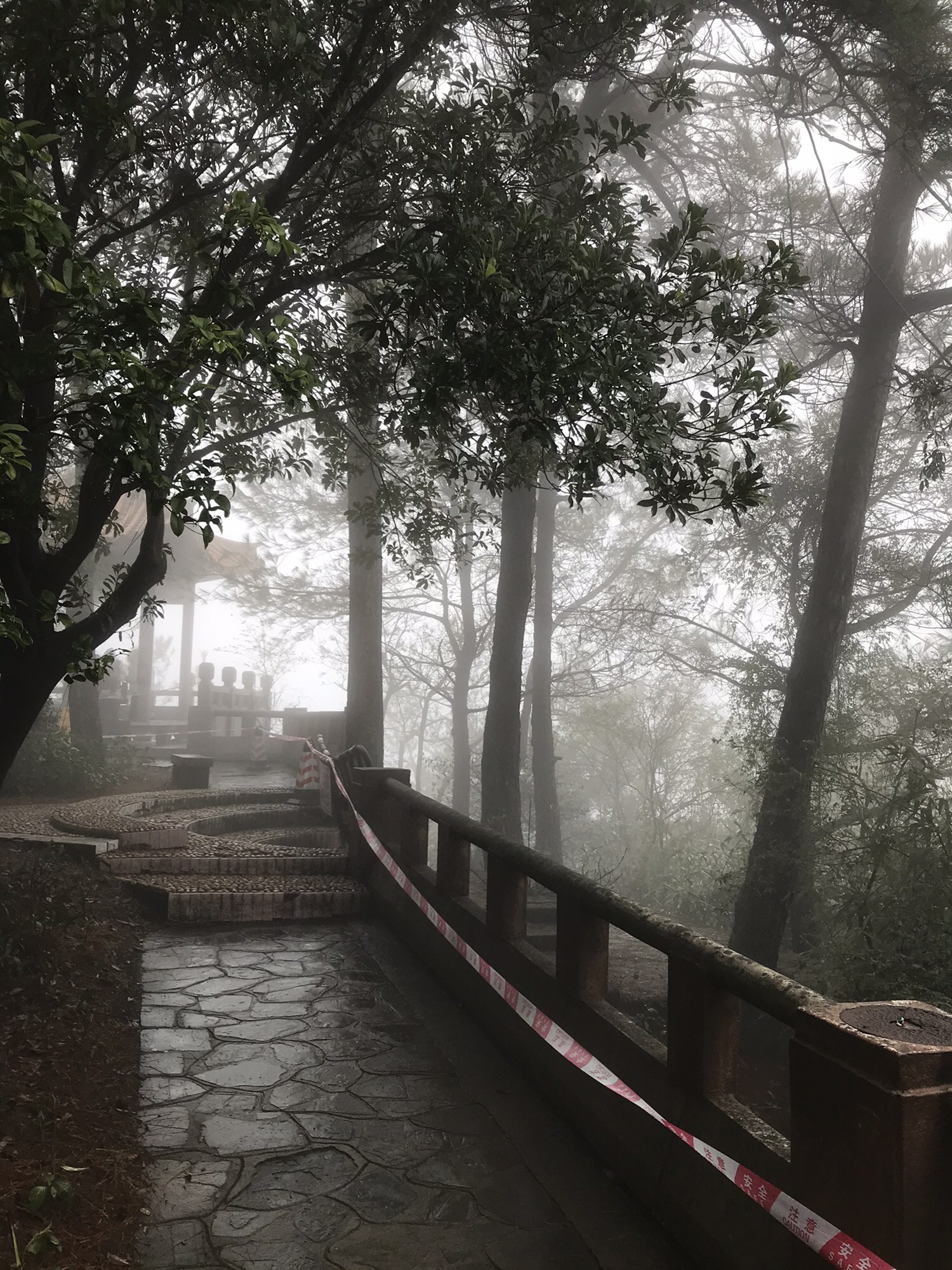 古亭山森林公园旅行图片