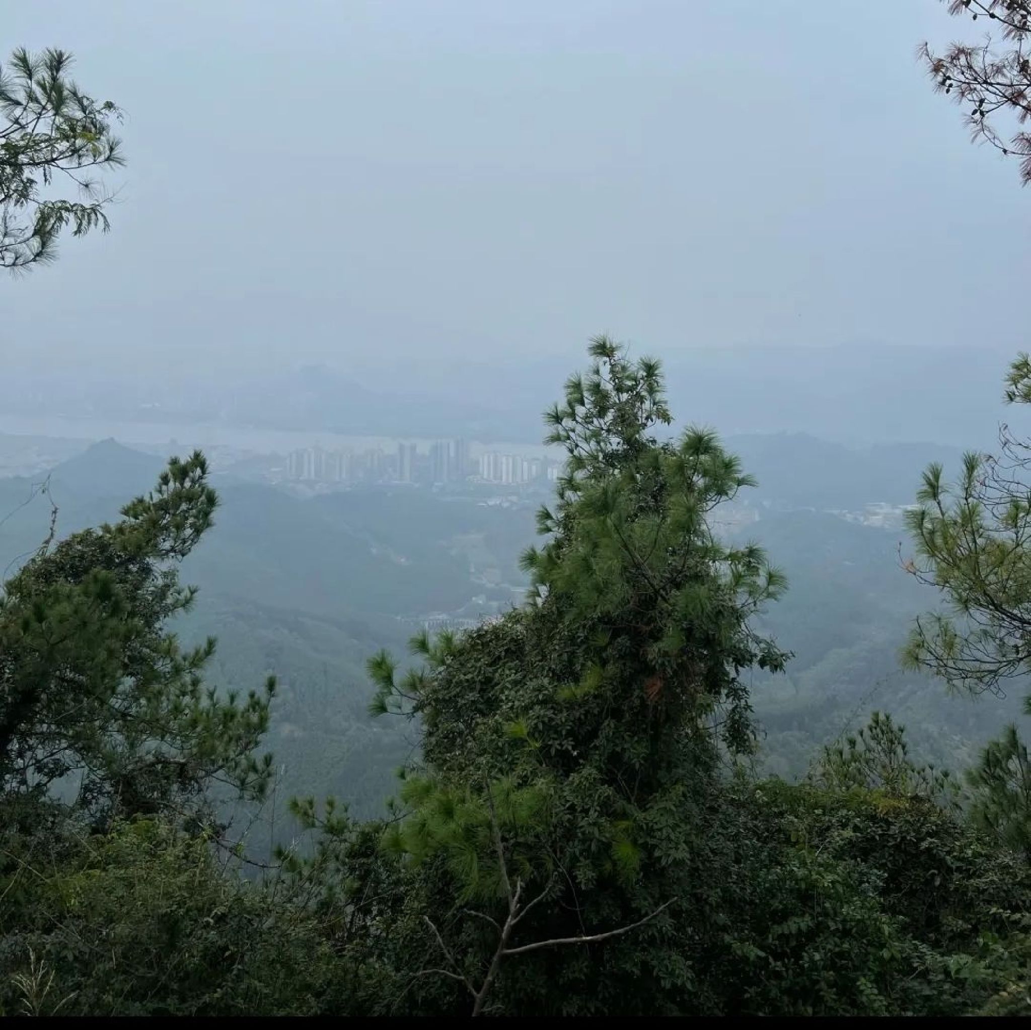 古亭山森林公园旅行图片