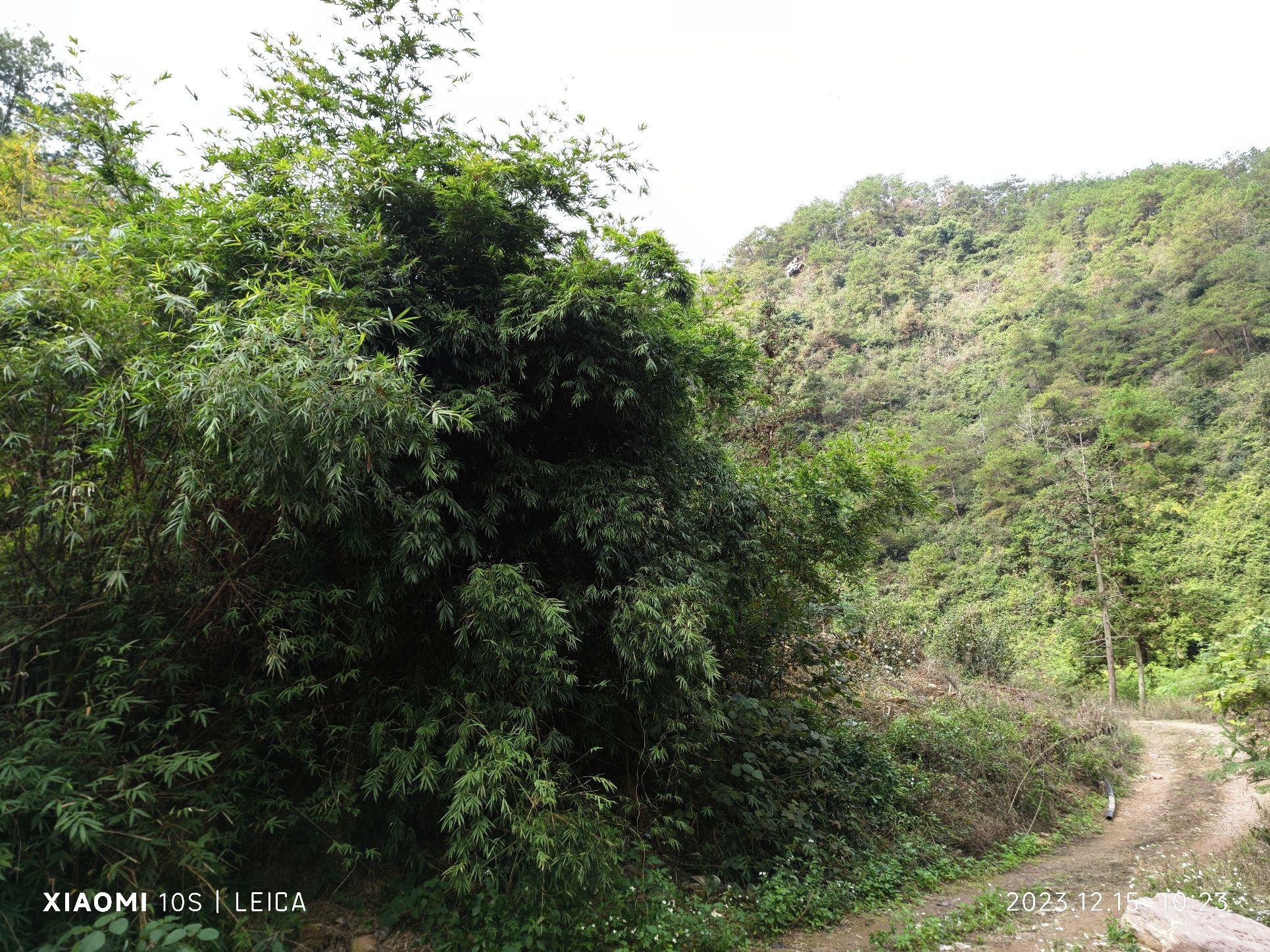 天龙峡谷景区(暂停开放)旅行图片