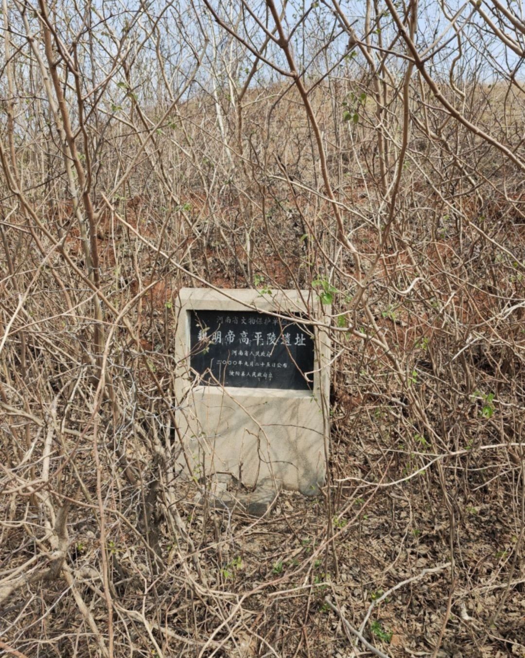 曹睿墓