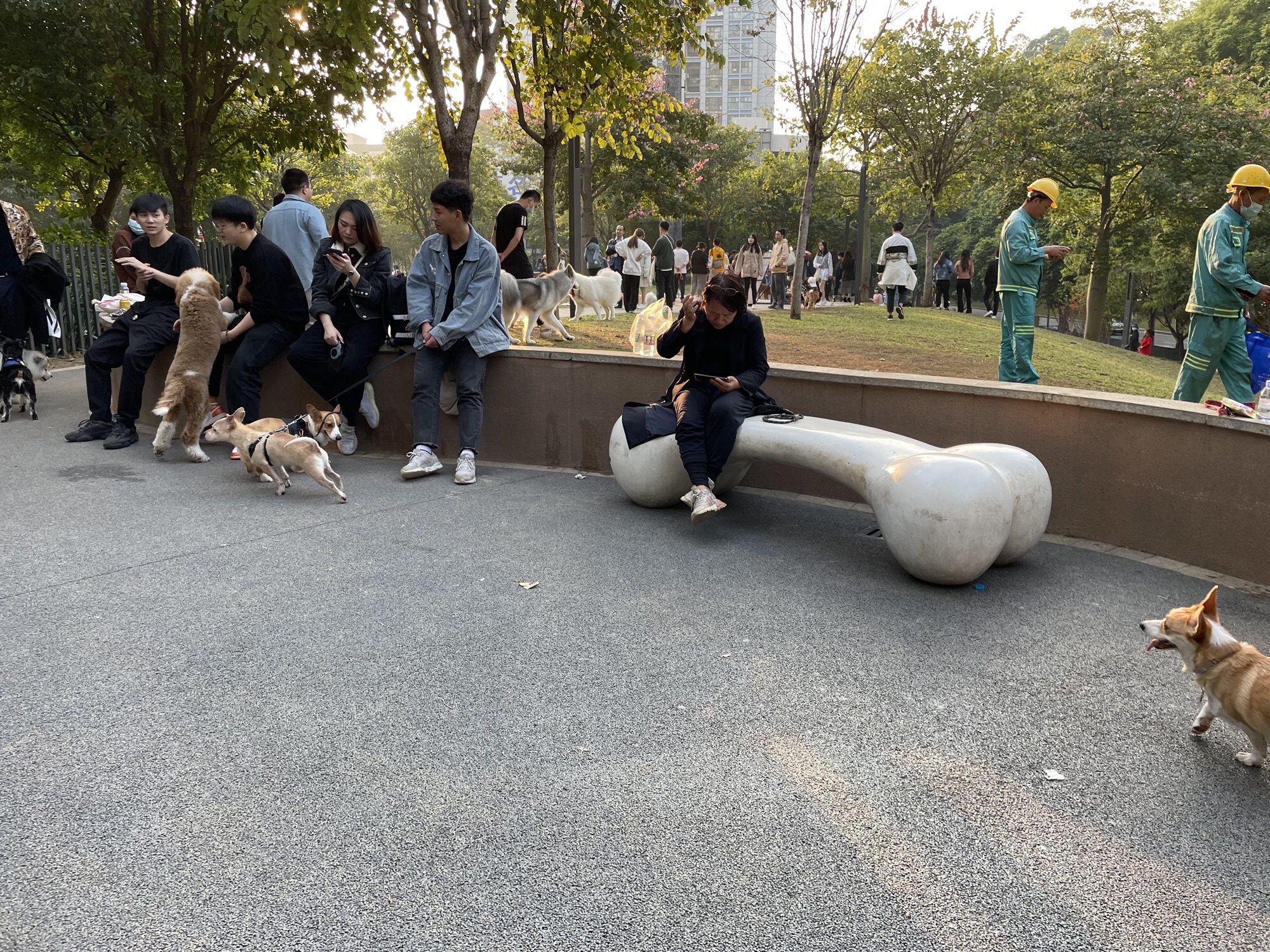 景田北六街公园宠物主题园