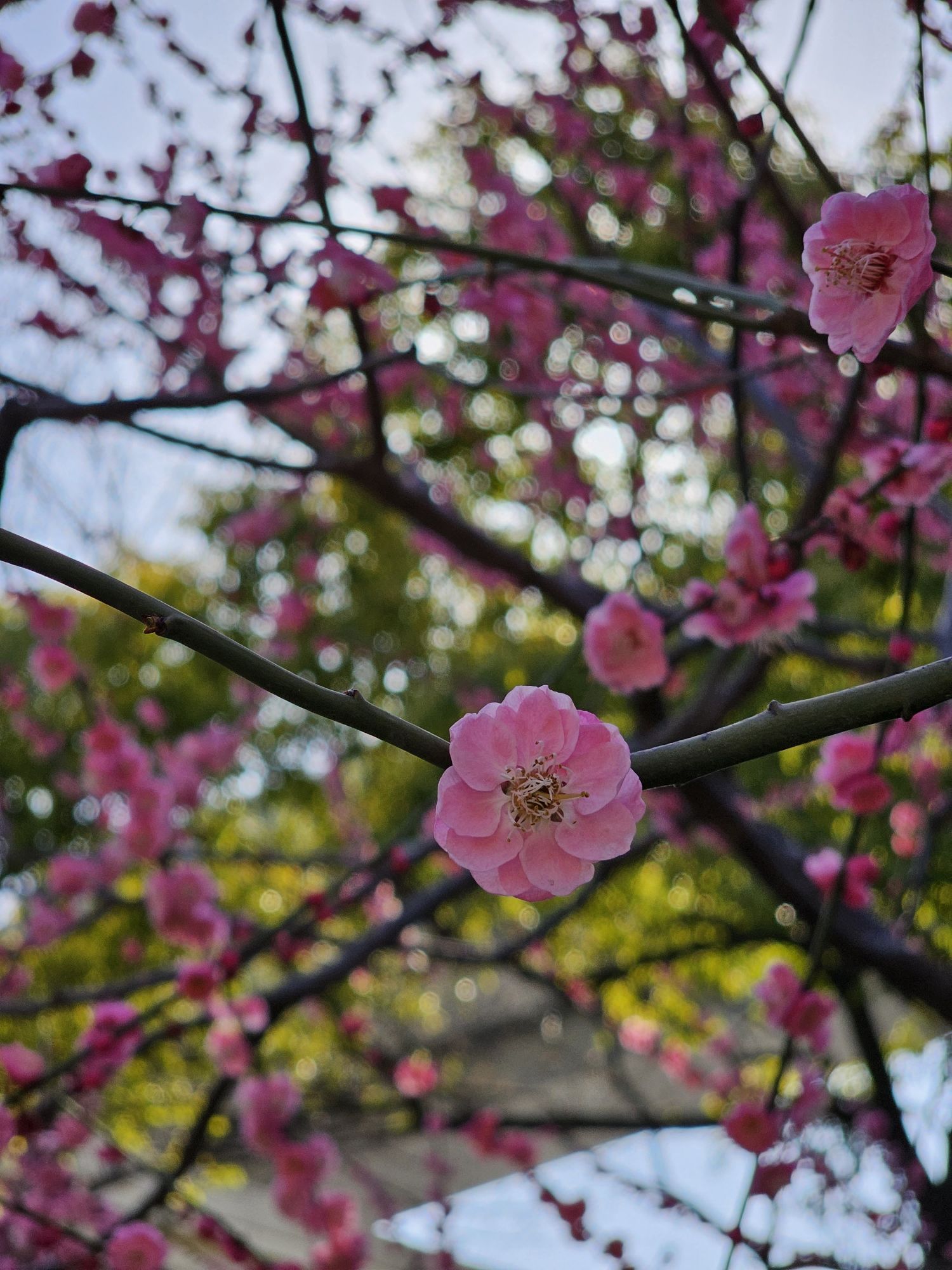 静安中环公园