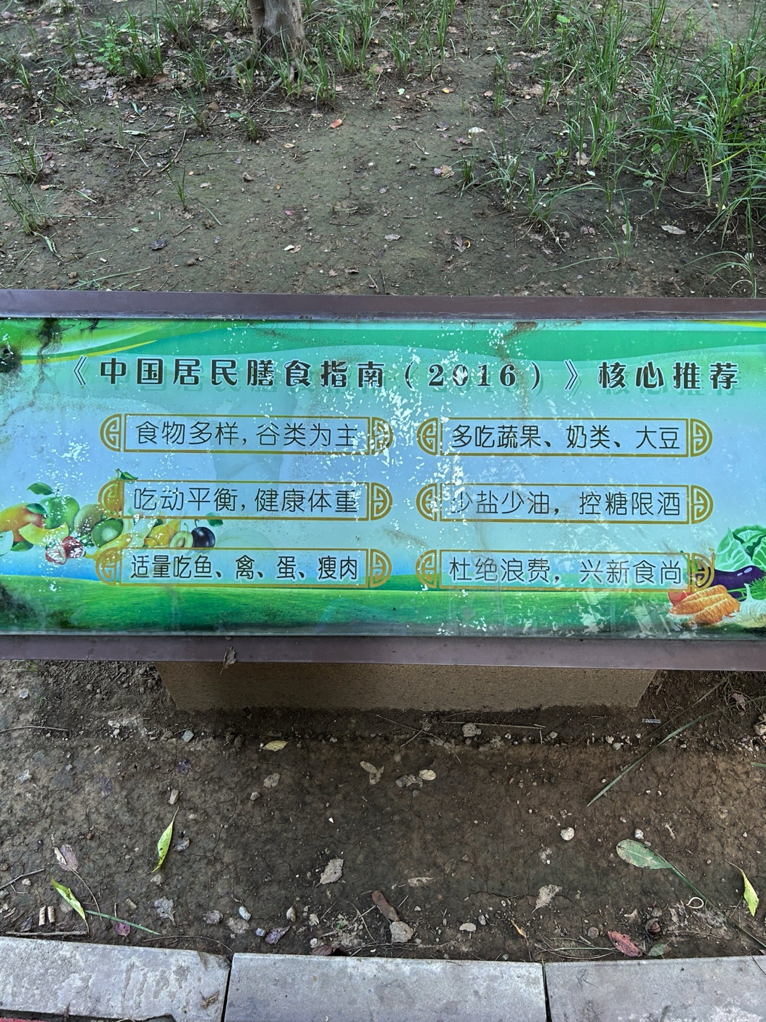 和平区健康主题公园